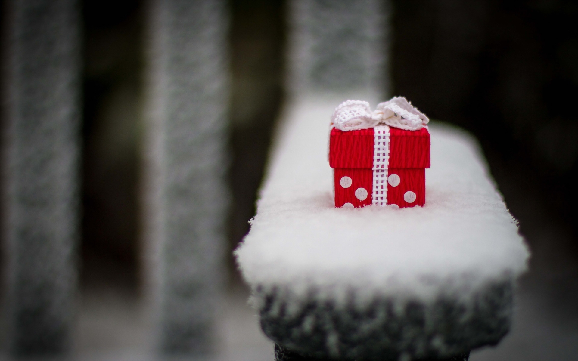 Free photo Gift box with a white bow