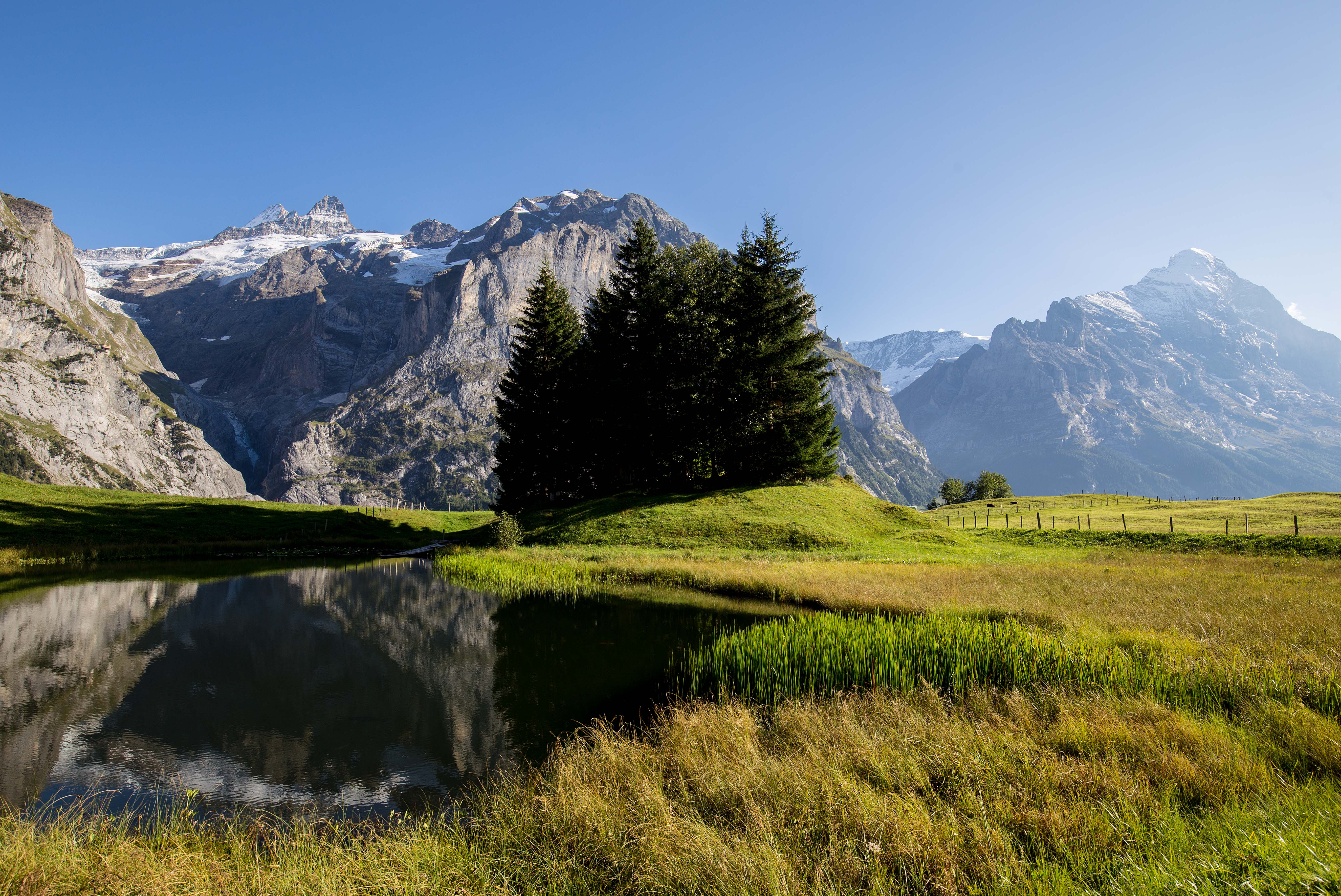 Wallpapers Bernese Alps Grindelwald Switzerland on the desktop