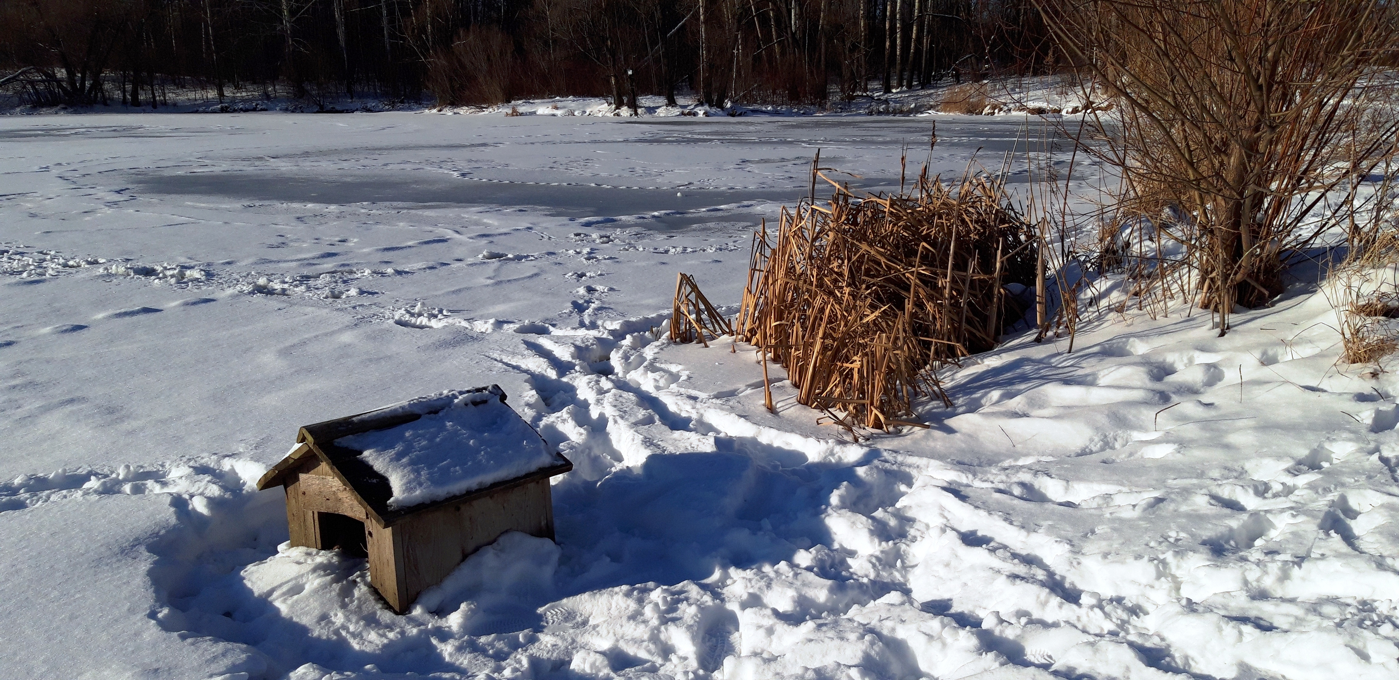 Бесплатное фото Домик для уток на замёрзшем озере