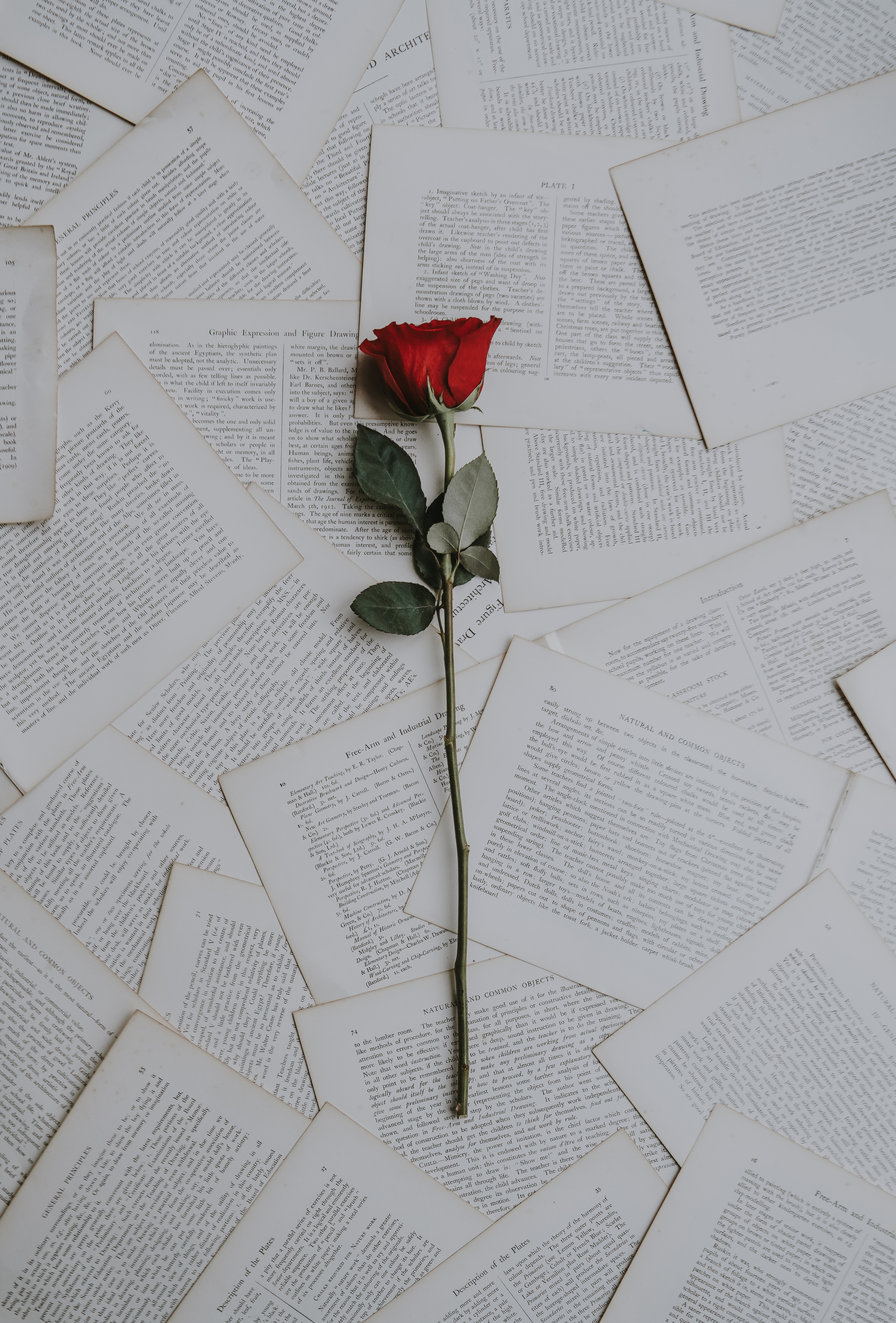 Обои розы книги тексты на рабочий стол