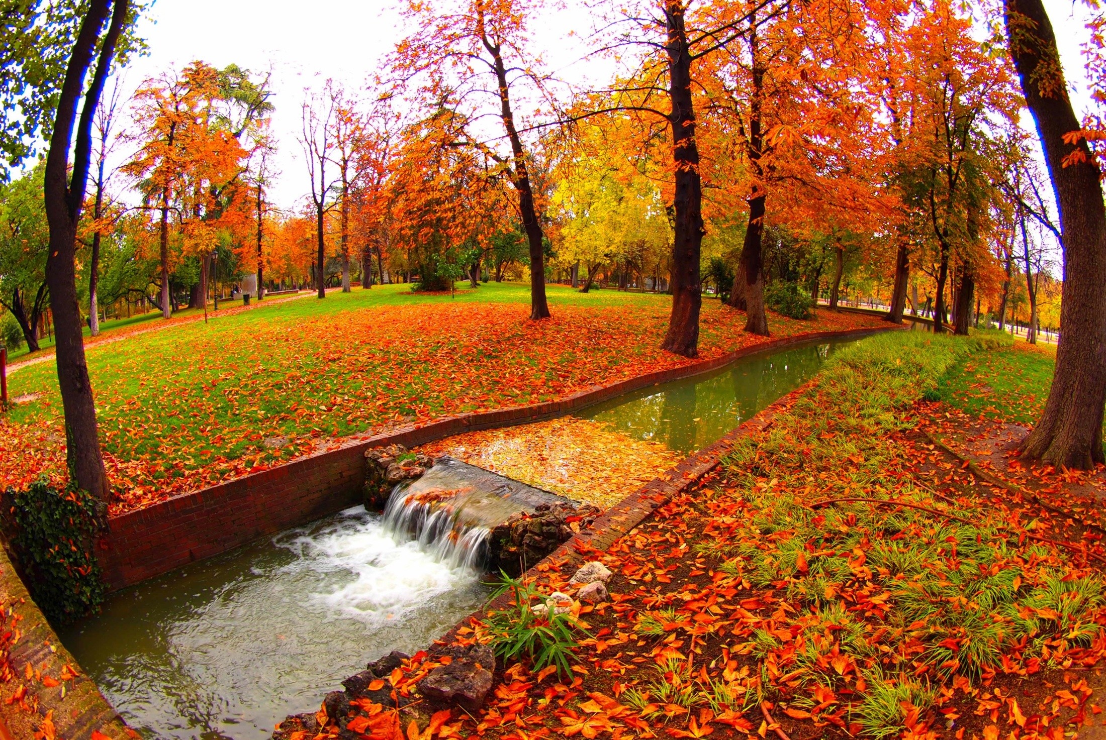 An autumn park with a stream, surrounded by trees with bright leaves.