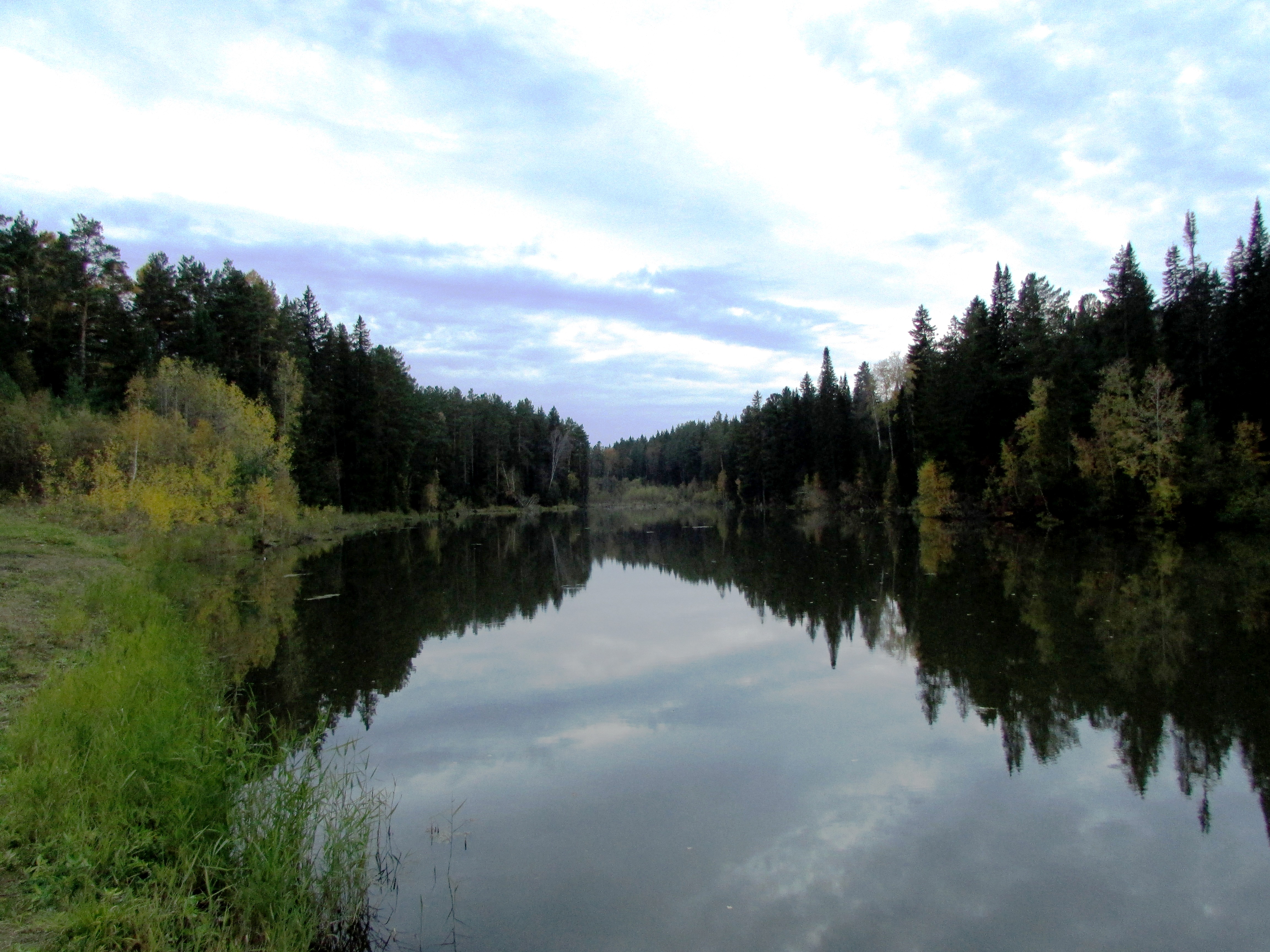Бесплатное фото Таёжный лес с озером на фоне вечернего неба