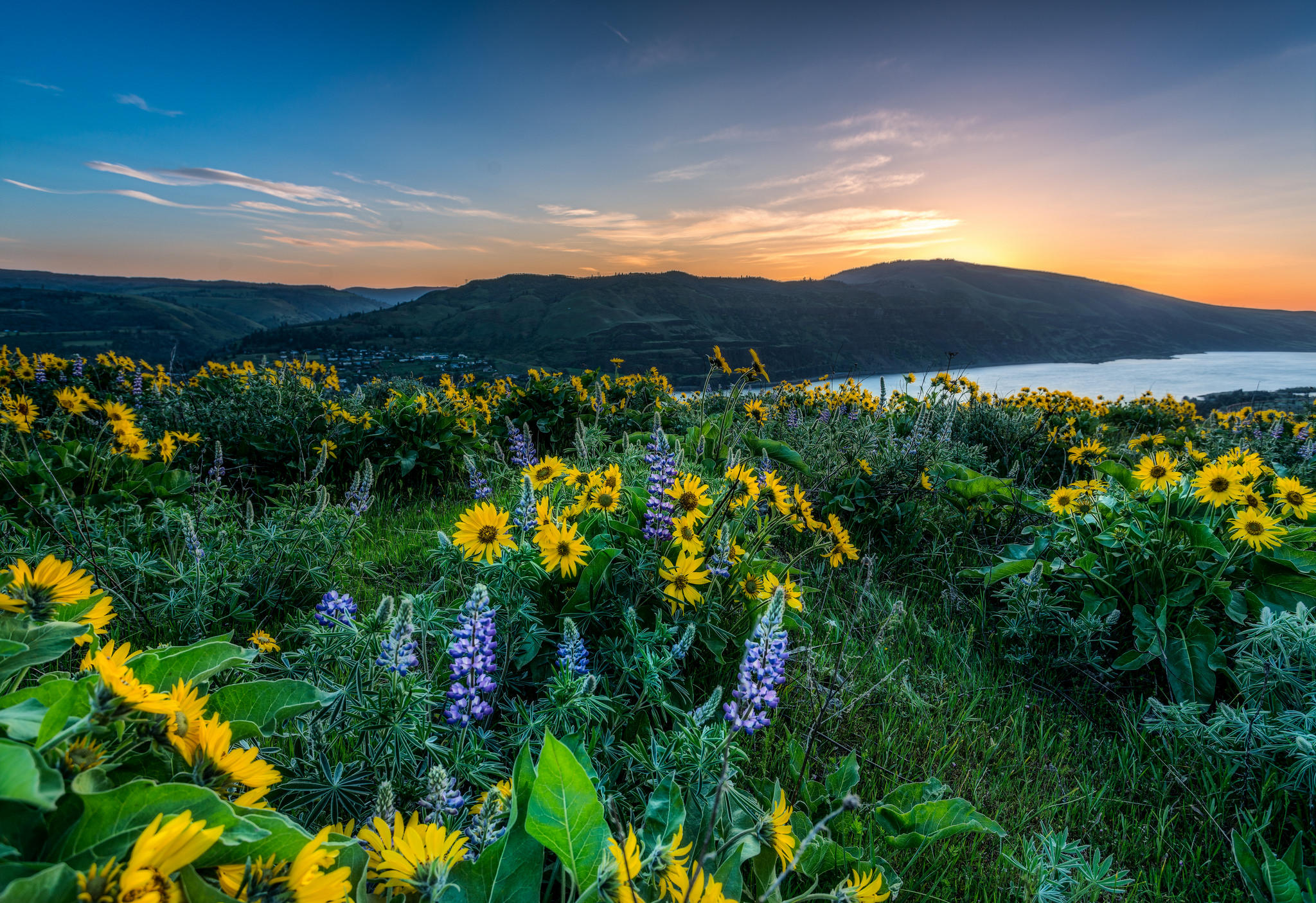 Wallpapers flowers Columbia River Gorge river on the desktop