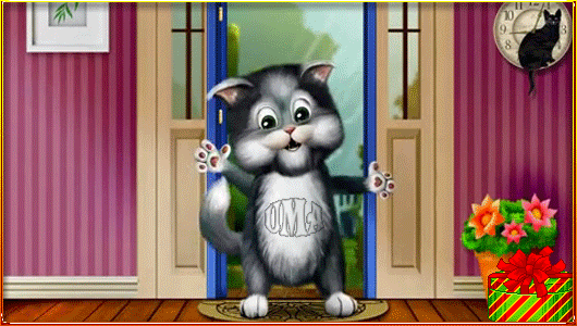 主题为猫 运 猫咪的明信片免费下载