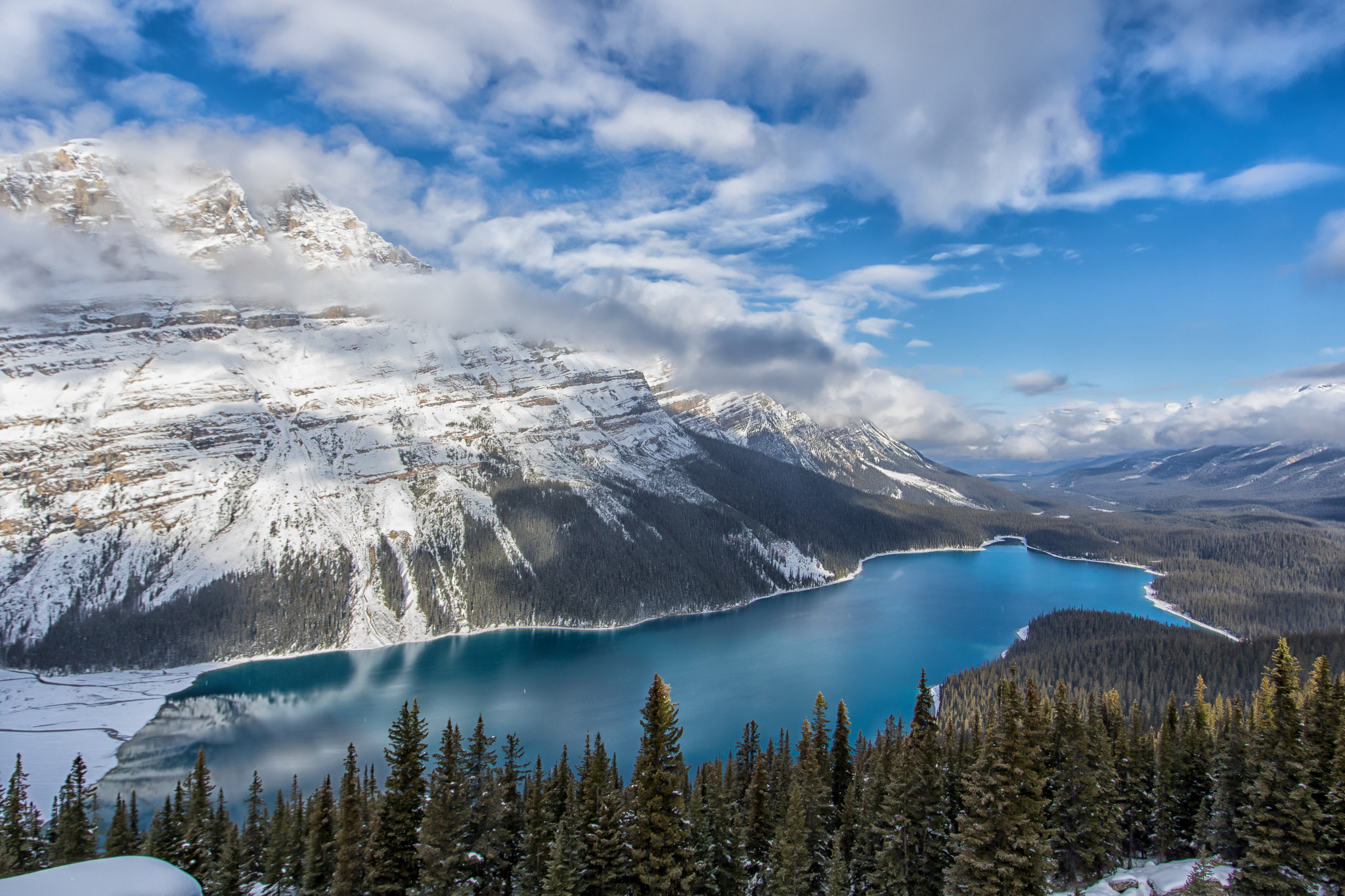 Wallpapers Canada Alberta forest on the desktop