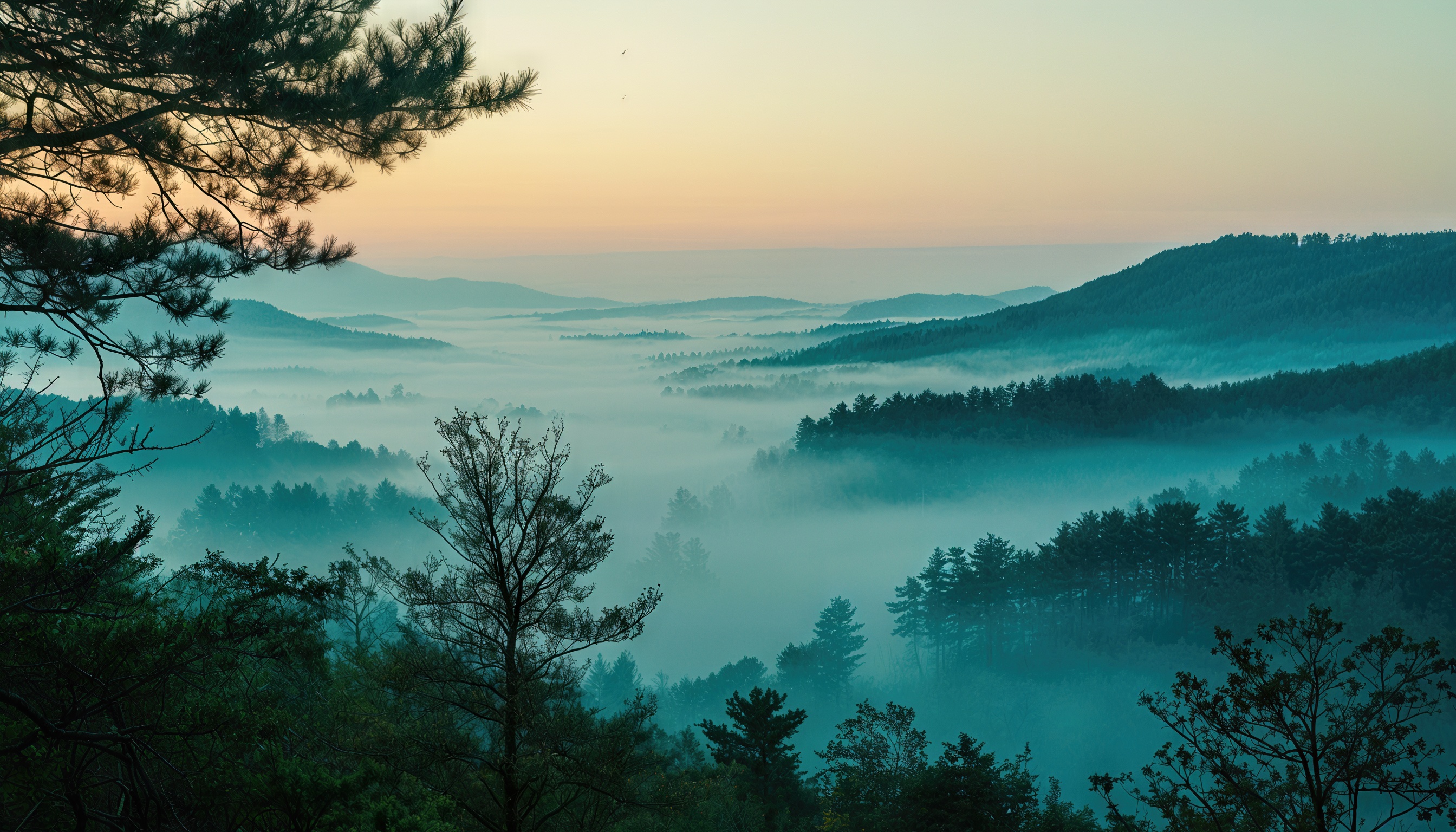 Бесплатное фото Туман шепчет тайны над сонной долиной, окутав сосны золотым дыханием рассвета.