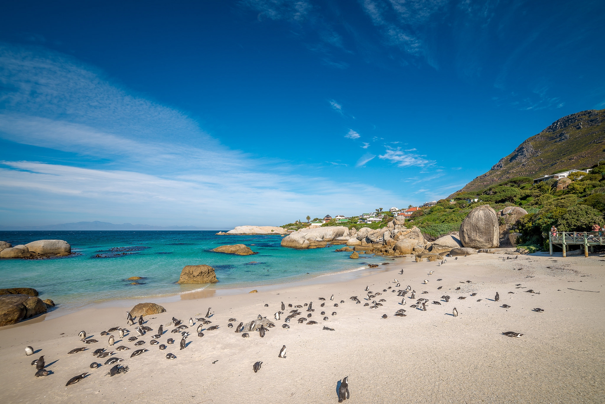 Wallpapers Boulder Beach Cap Peninsula Cape Town on the desktop