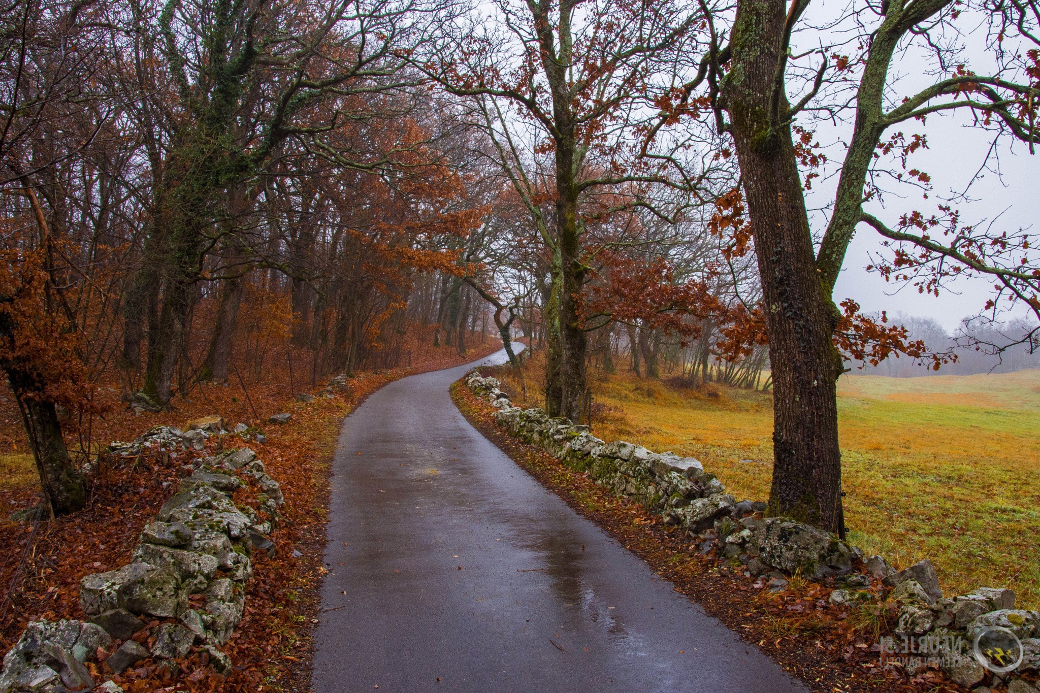 Free photo Rural road in autumn