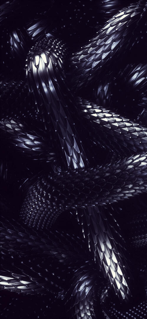 Бесплатное фото Черная змеиная чешуя