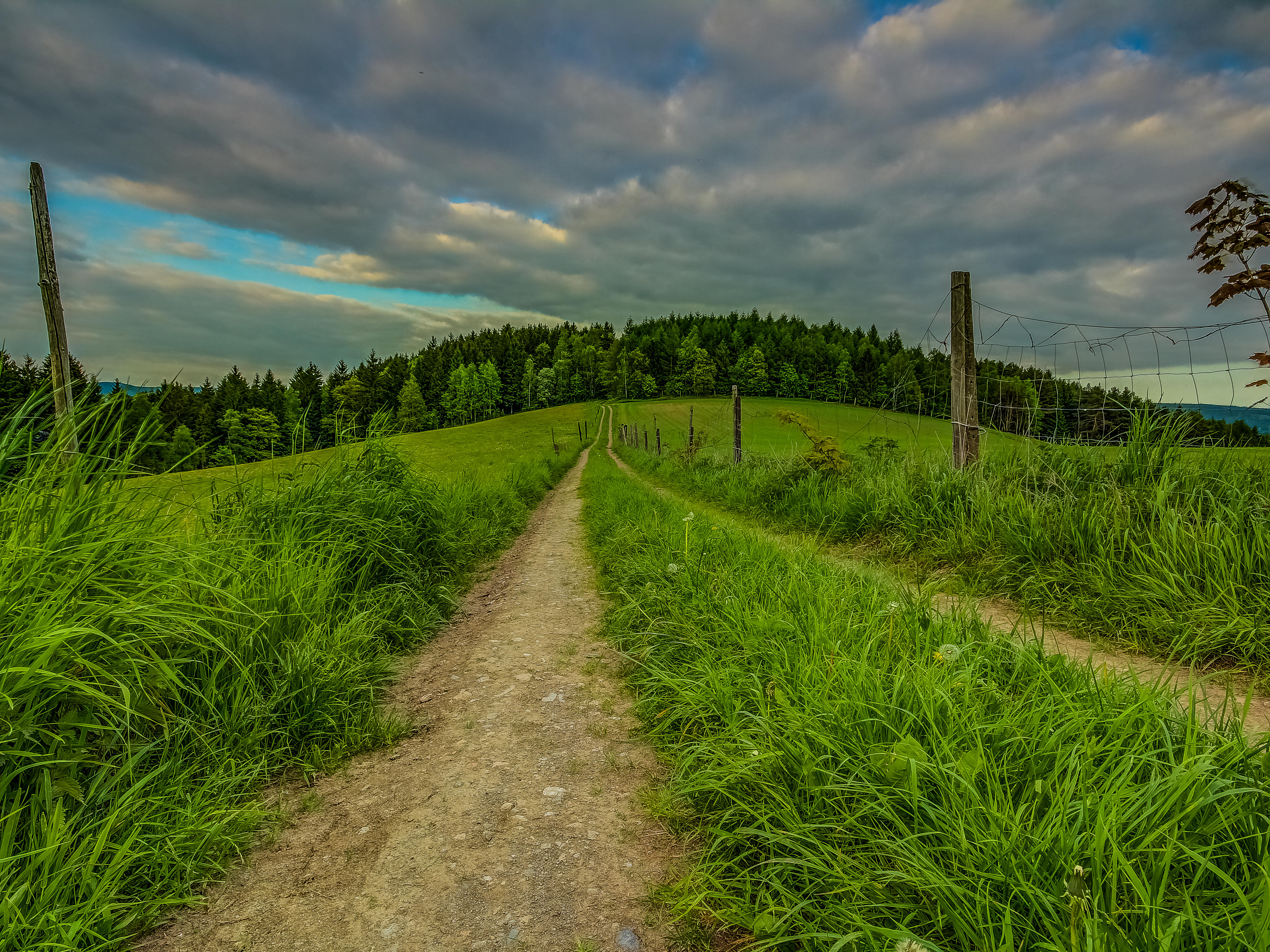 Free photo Photo online free road, trees