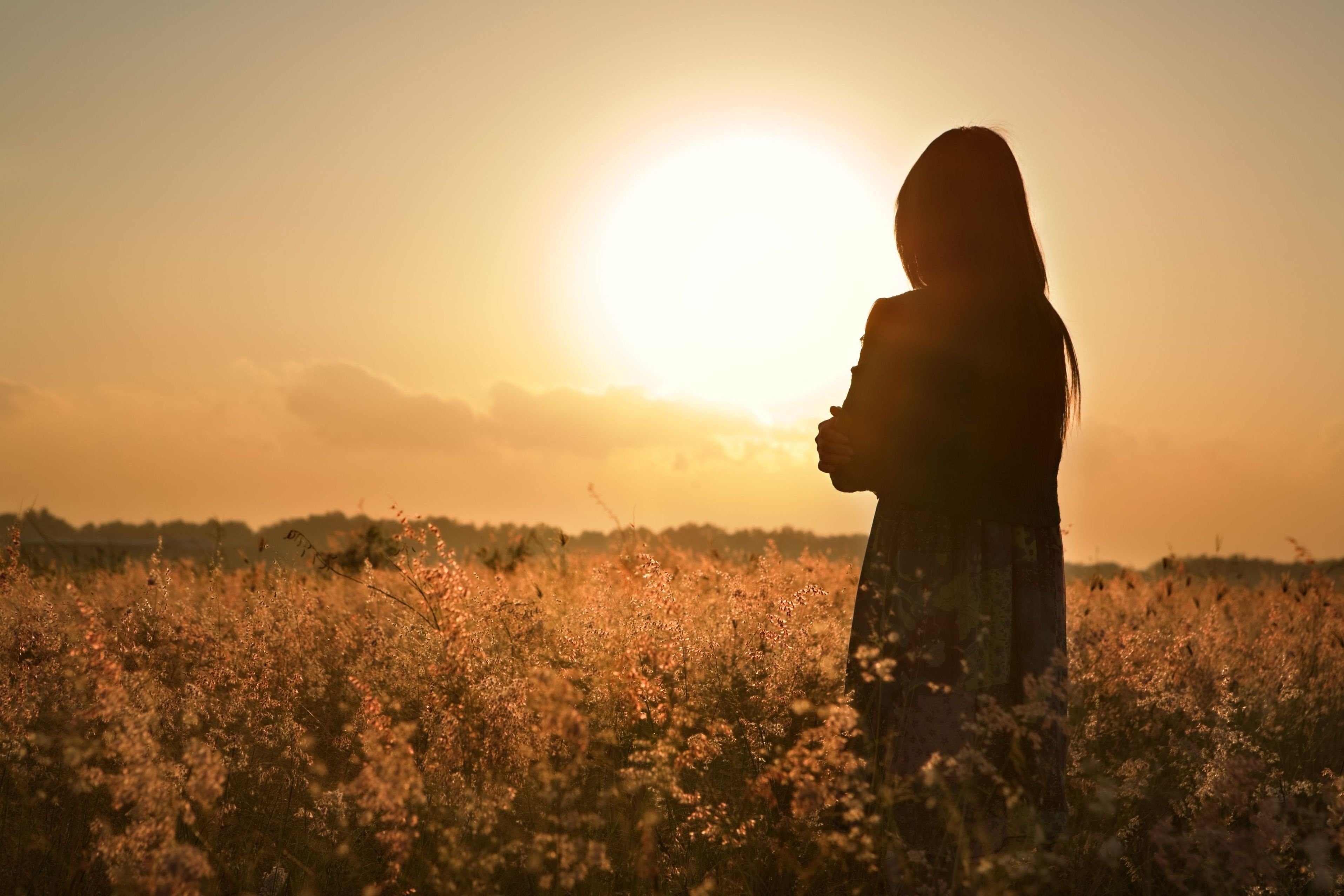 一个女孩在日落时分在田野上悲伤的剪影