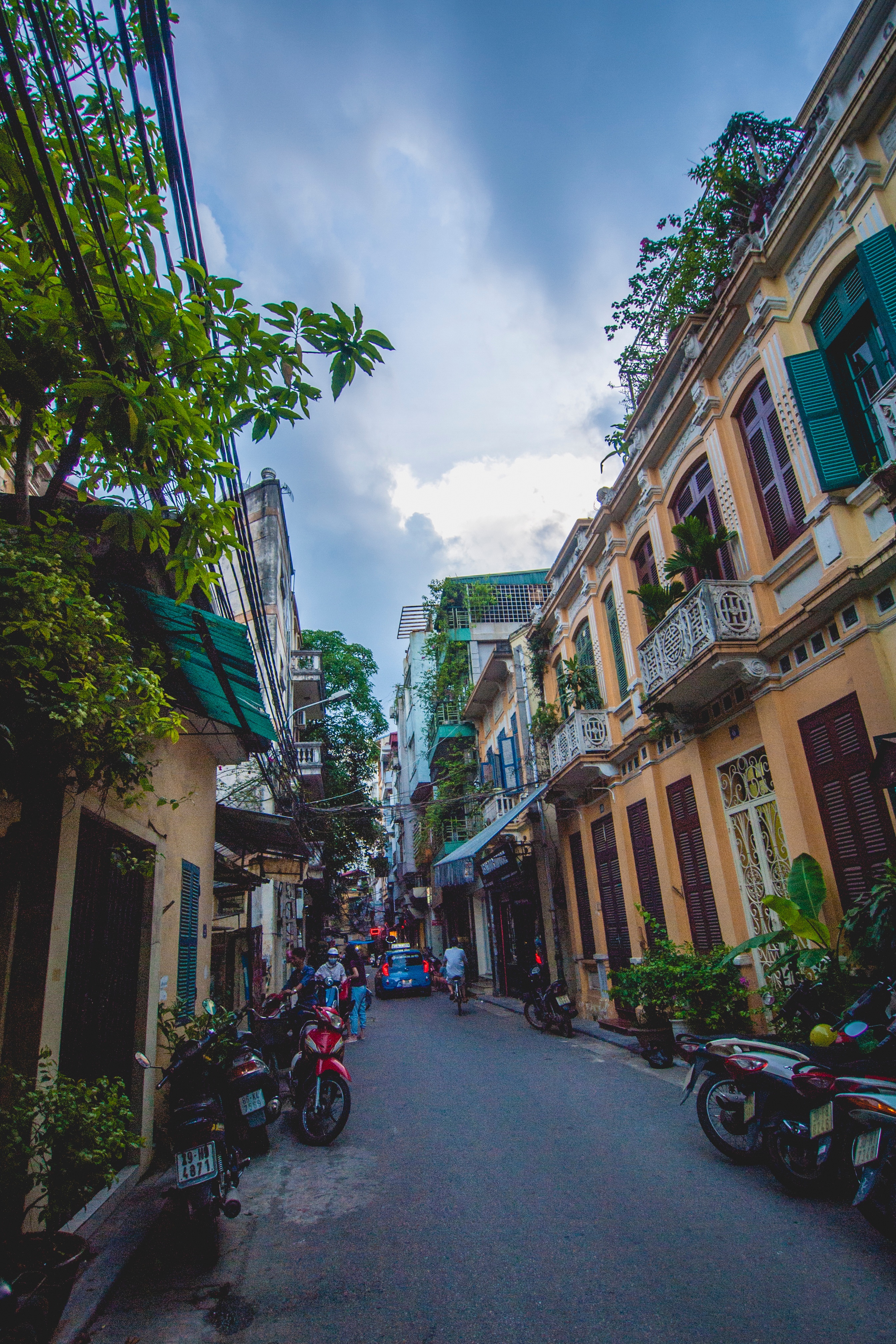 Обои дерево дорога улица на рабочий стол