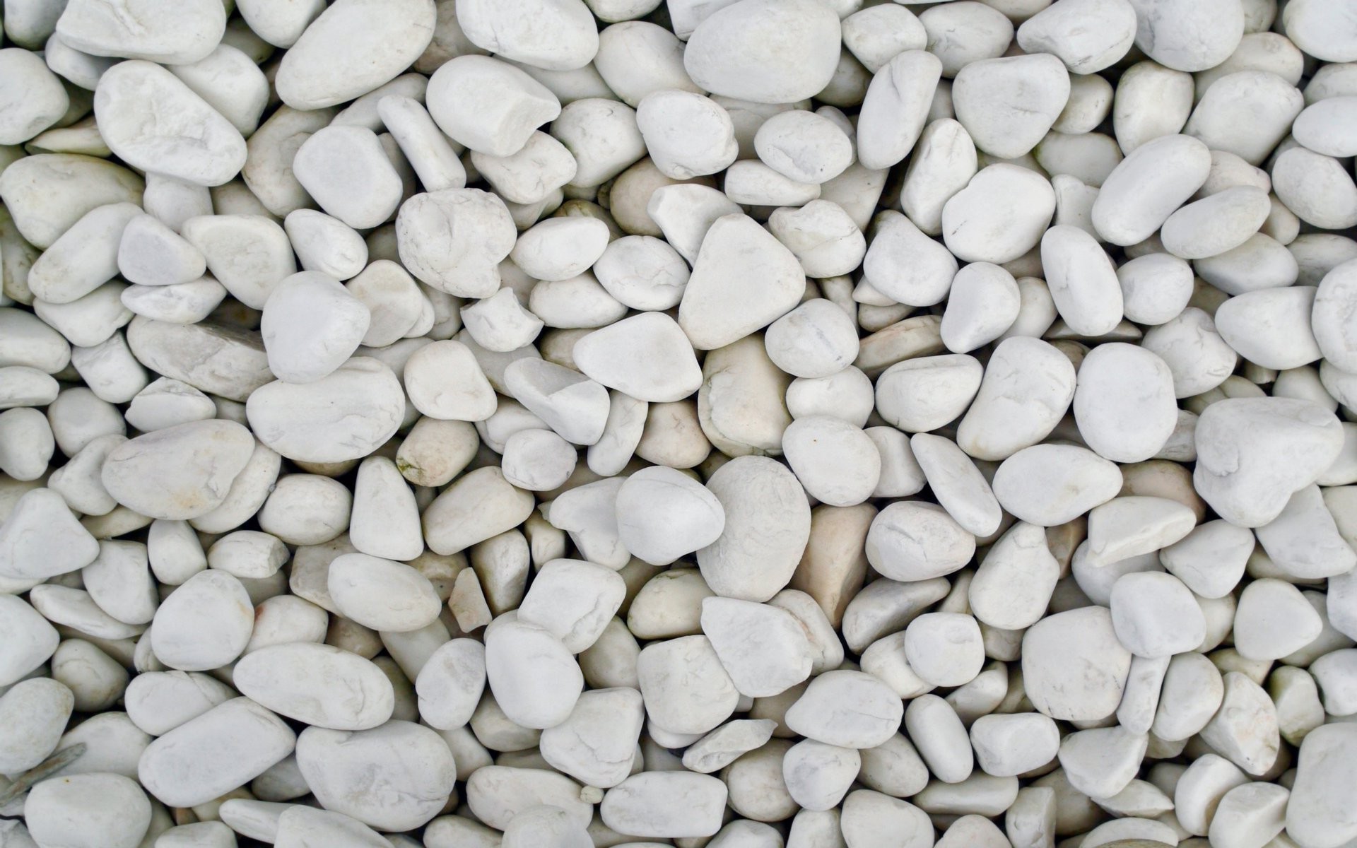 免费照片白色海卵石