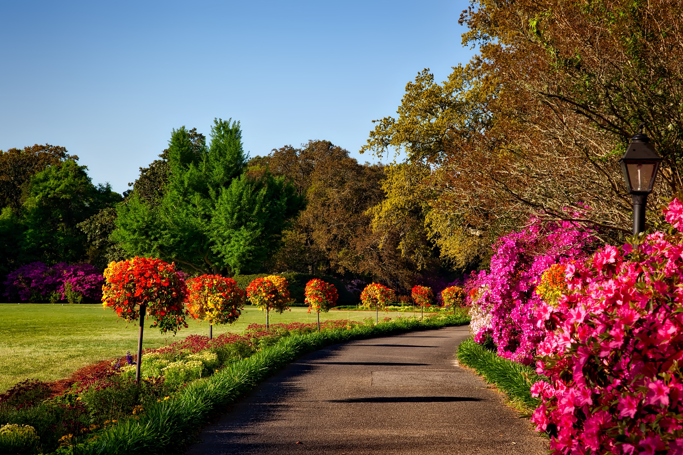 Free photo A walk through a summer park surrounded by flowers