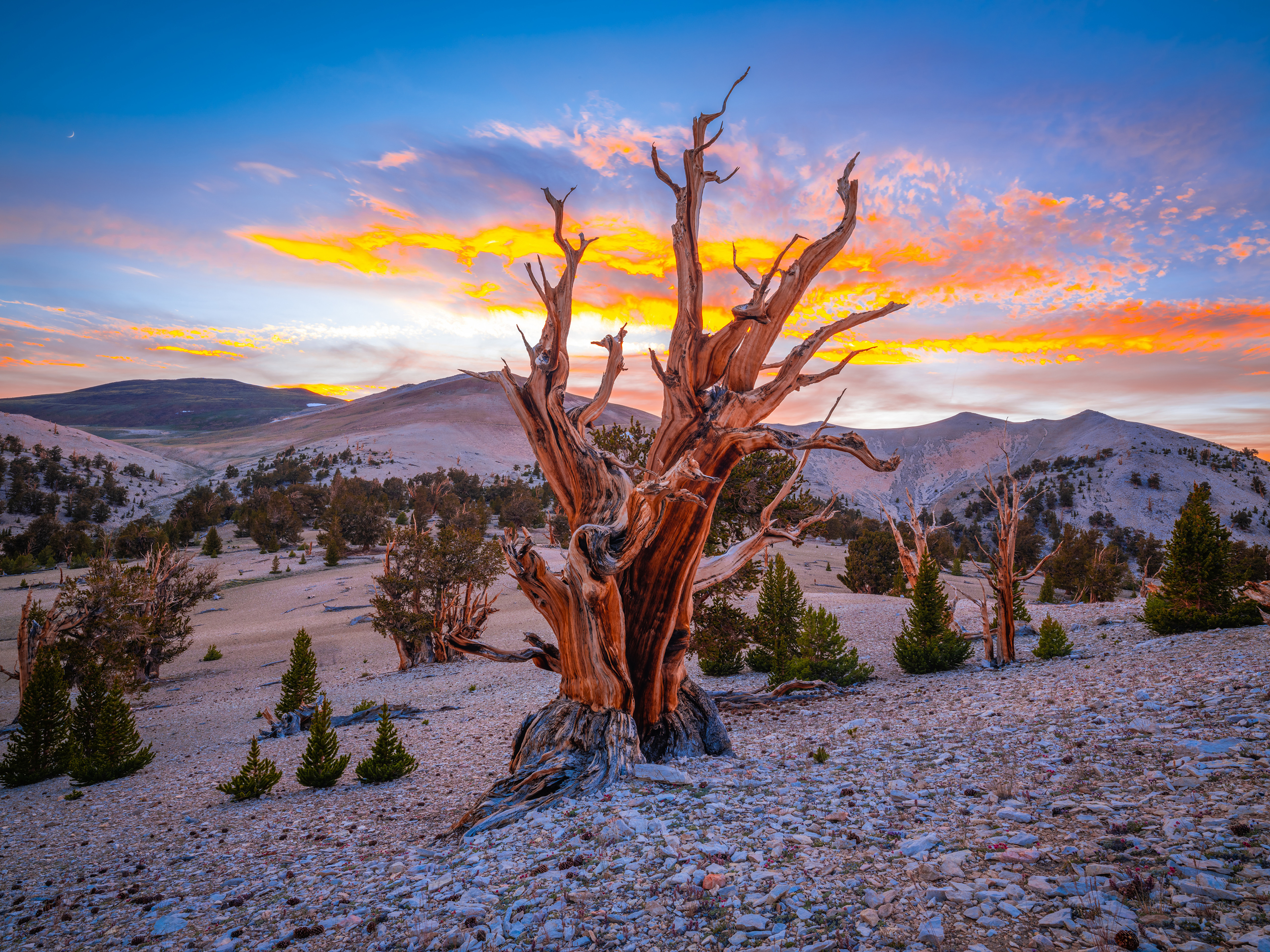 Wallpapers mountains California mountains usa on the desktop