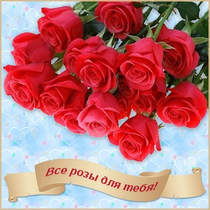 一张以玫瑰 这些玫瑰花是为你准备的 玫瑰花送给你为主题的明信片