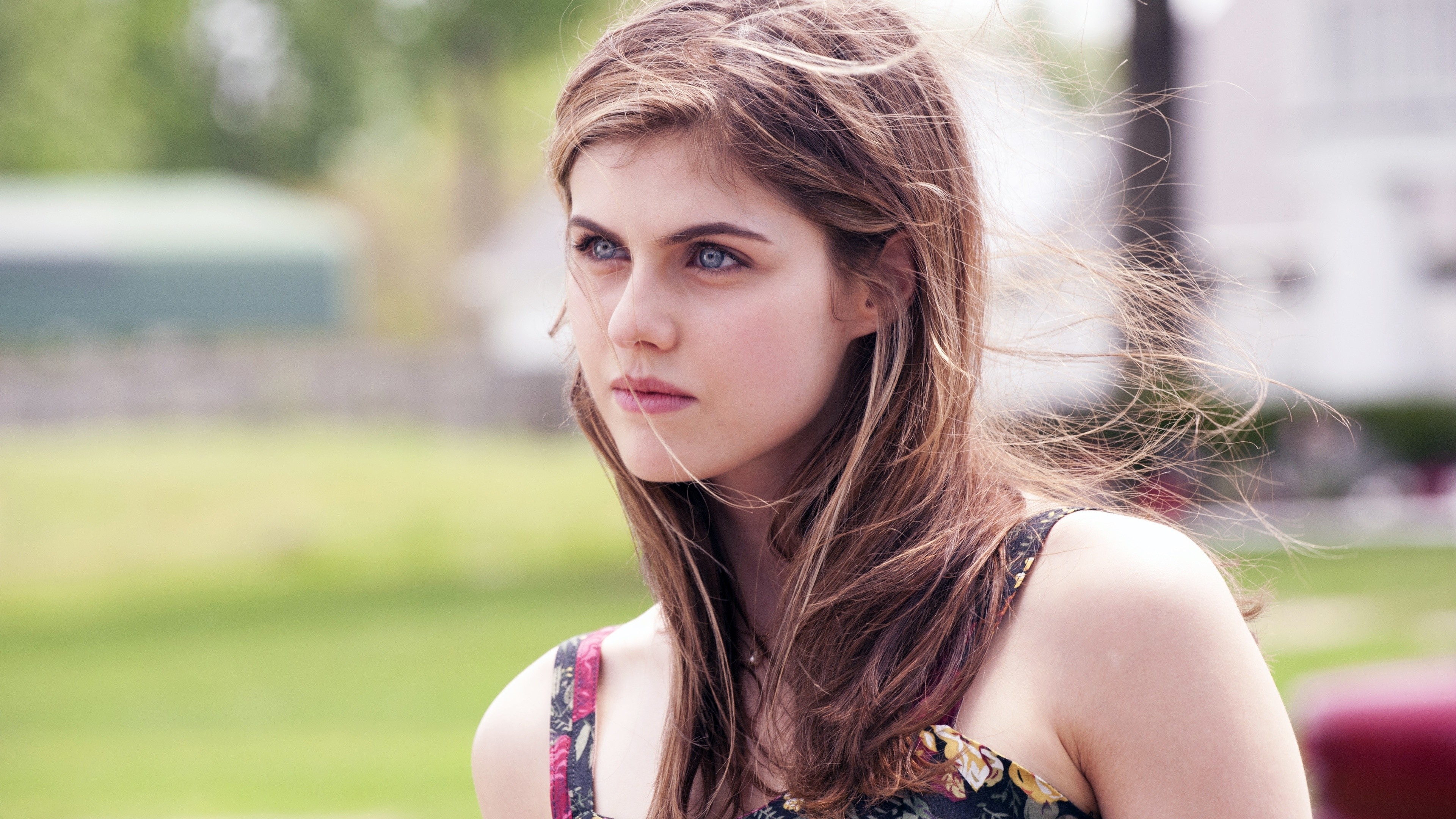 Wallpapers Alexandra Daddario actress blue eyes on the desktop