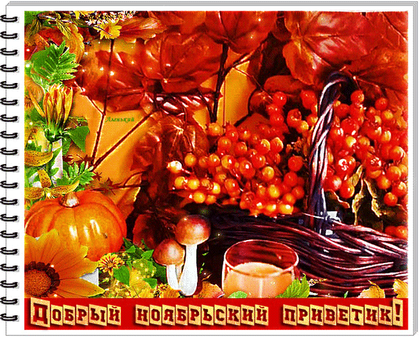 Free postcard Greeting from Nature