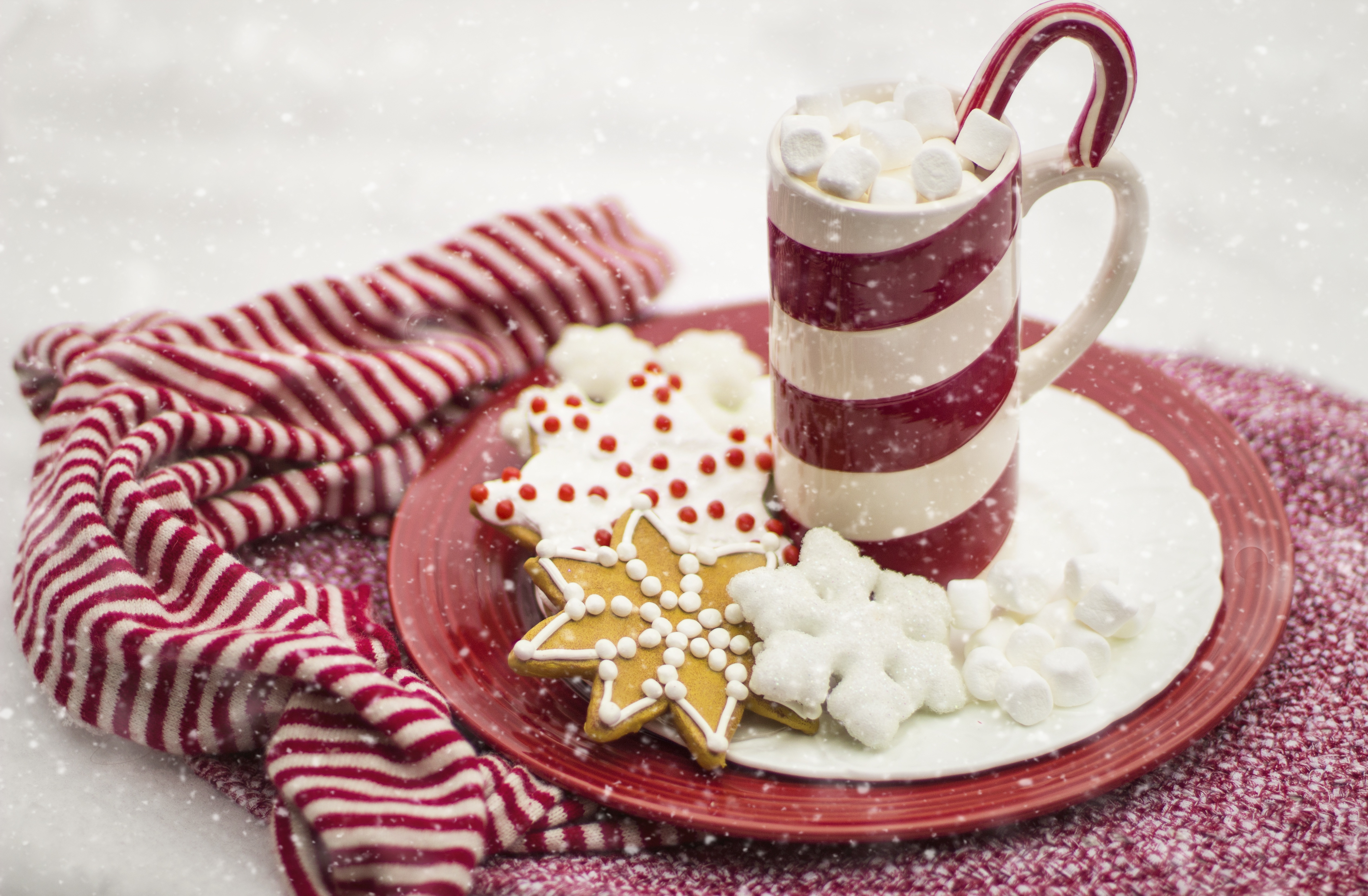 Wallpapers candy cane hot chocolate cocoa on the desktop