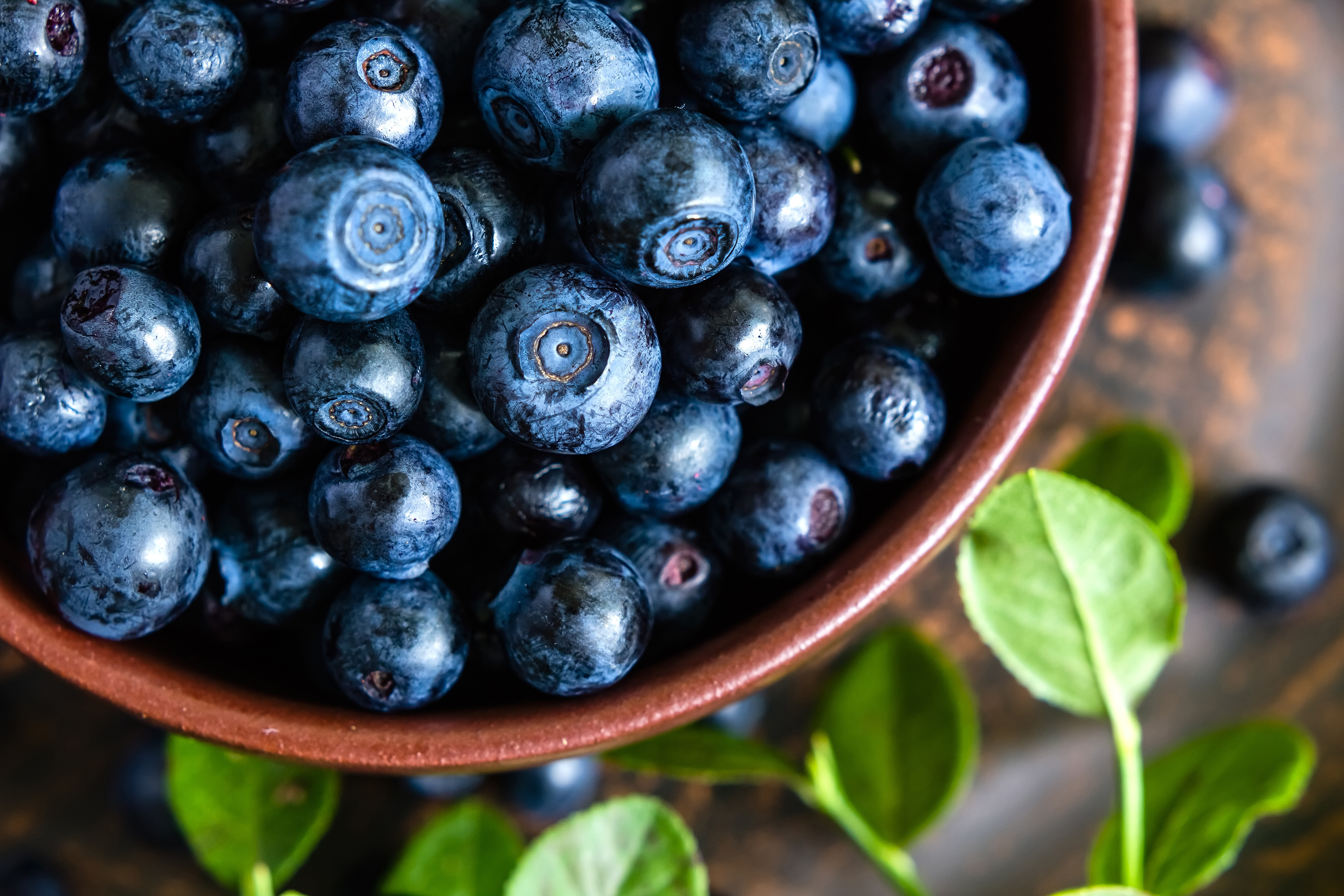 Free photo Blueberries in a bowl