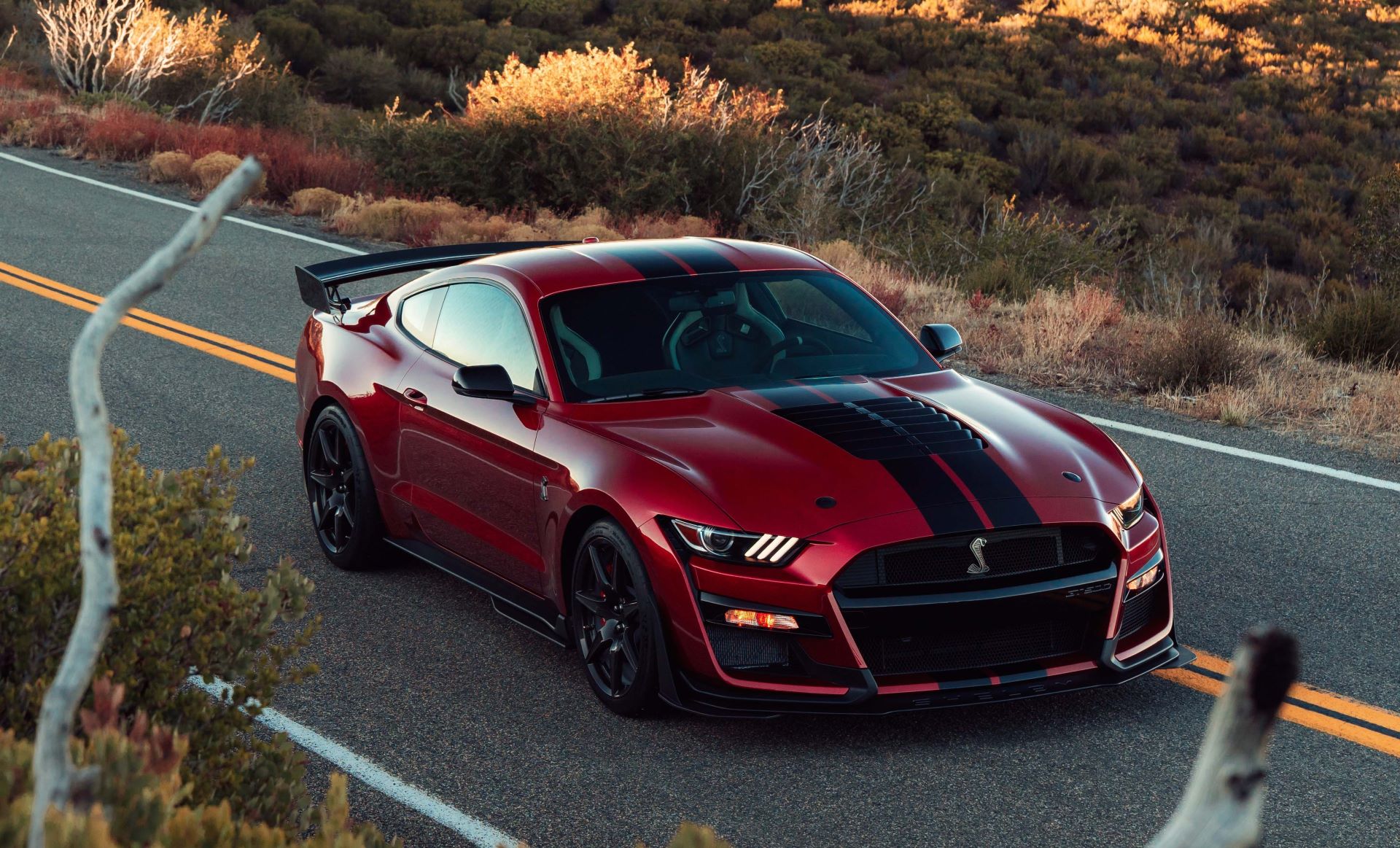 Бесплатное фото Ford Mustang Shelby GT500