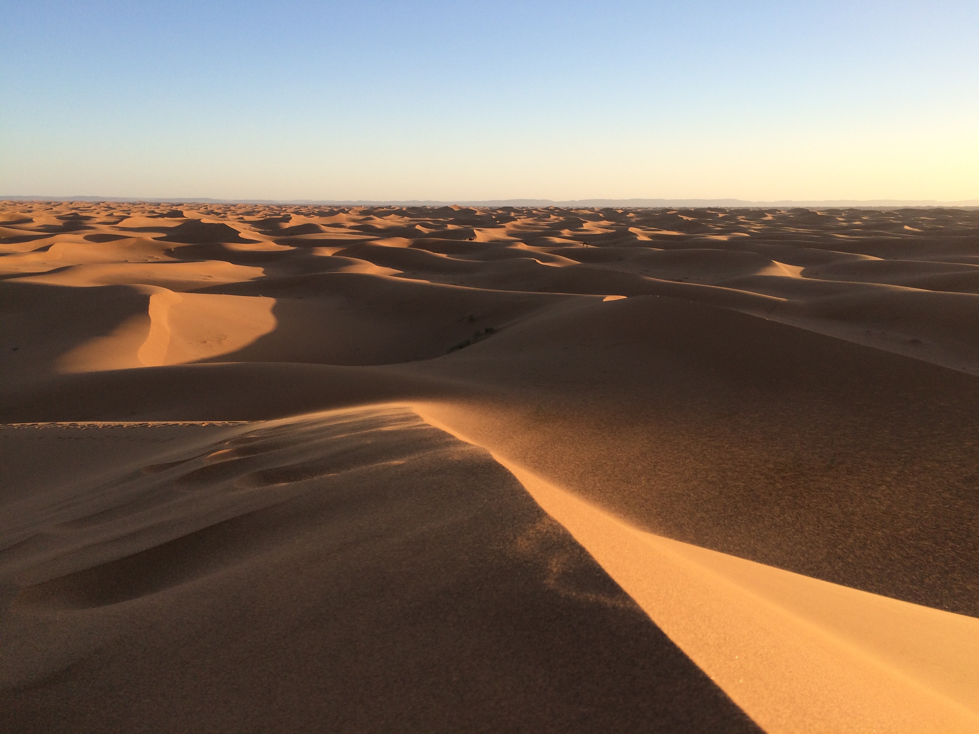 Wallpapers landscape sand horizon on the desktop