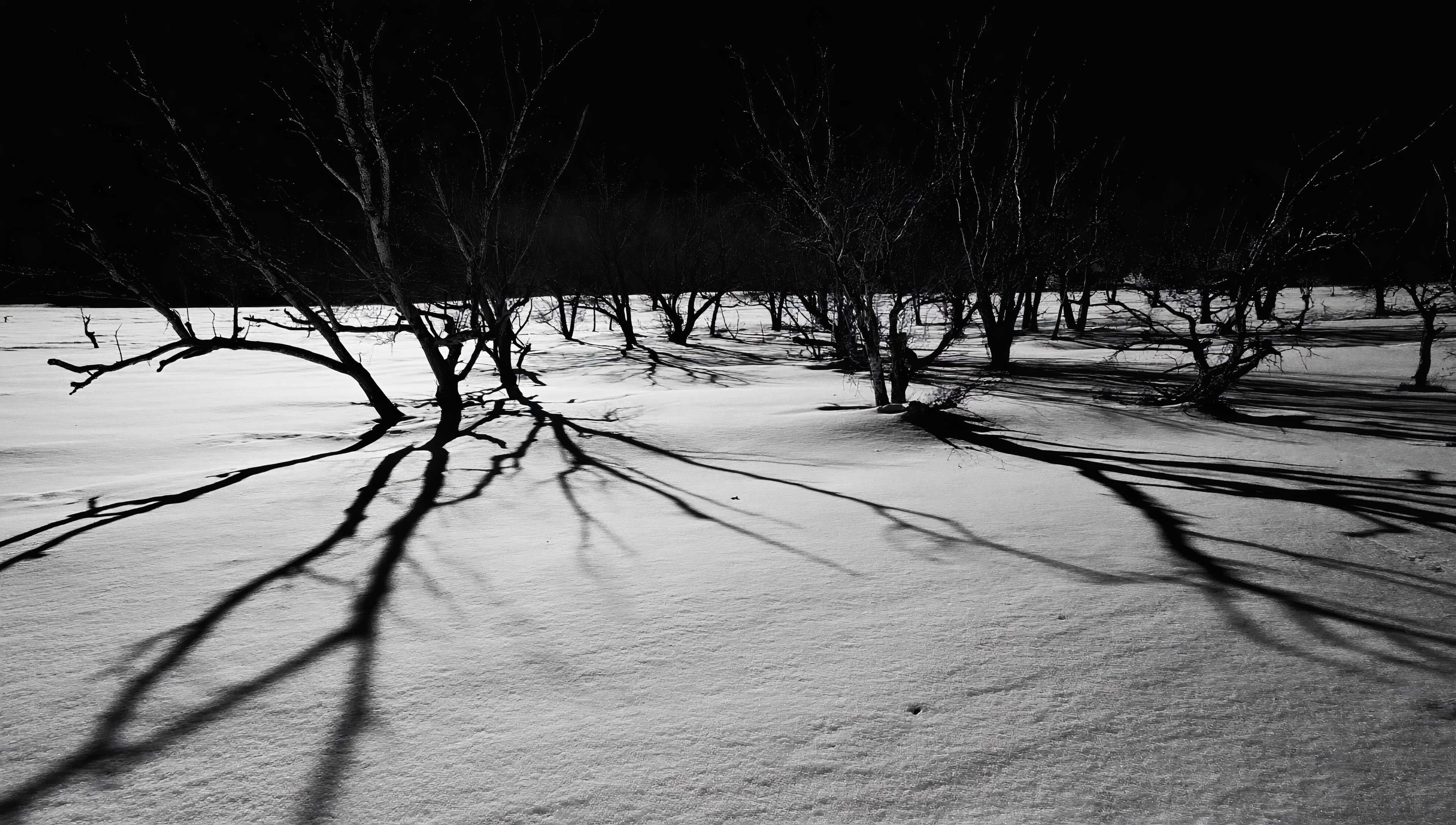 免费照片壁纸在桌面上，在冬季景观雪周围，晚上