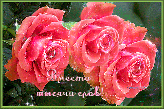 Бесплатная открытка Гифка вместо тысячи слов