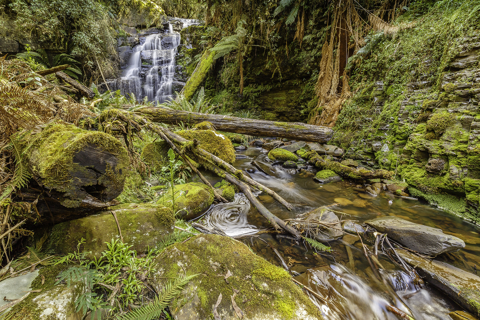 Обои Allambee Beek Falls Otway Ranges лес речка на рабочий стол