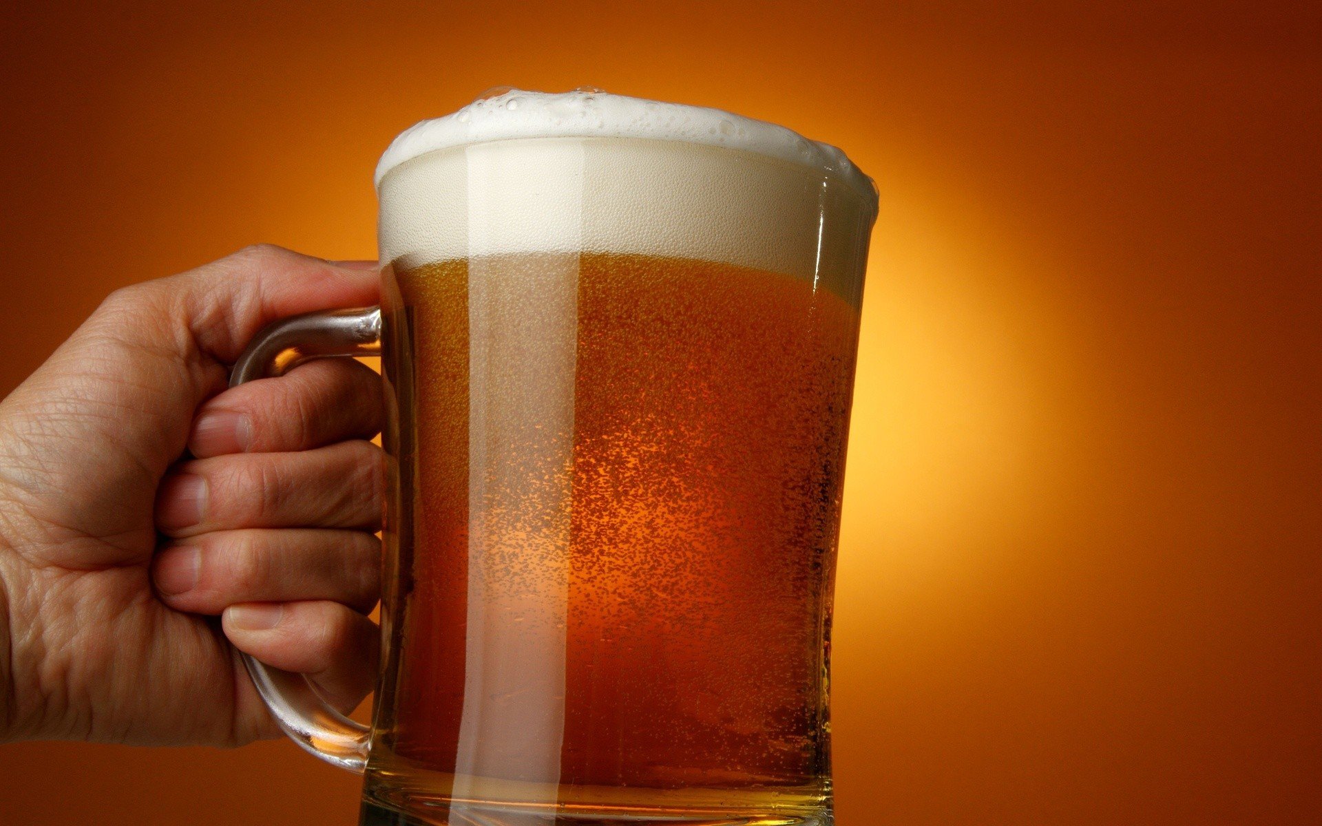 Wallpapers beer cup beer mug on the desktop