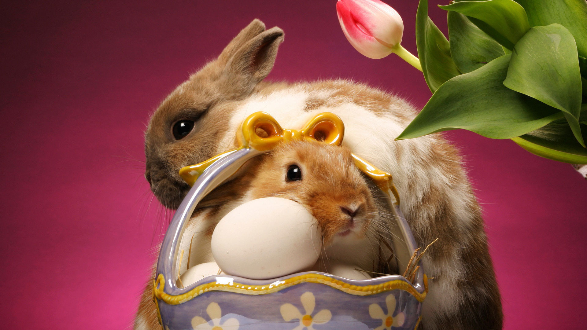 Wallpapers colored eggs flowers rodents on the desktop