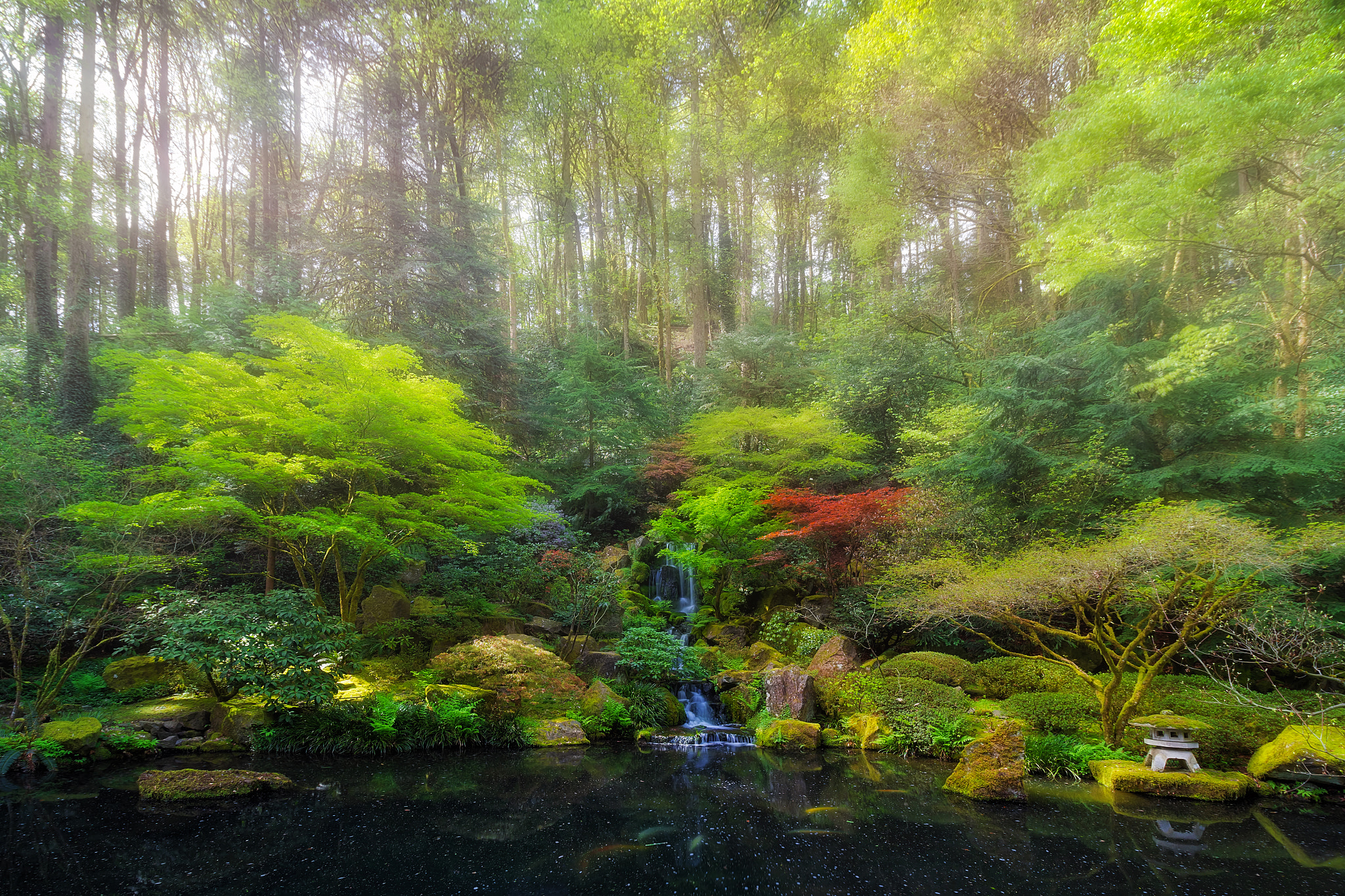 Обои Portland Japanese Garden Oregon United States на рабочий стол