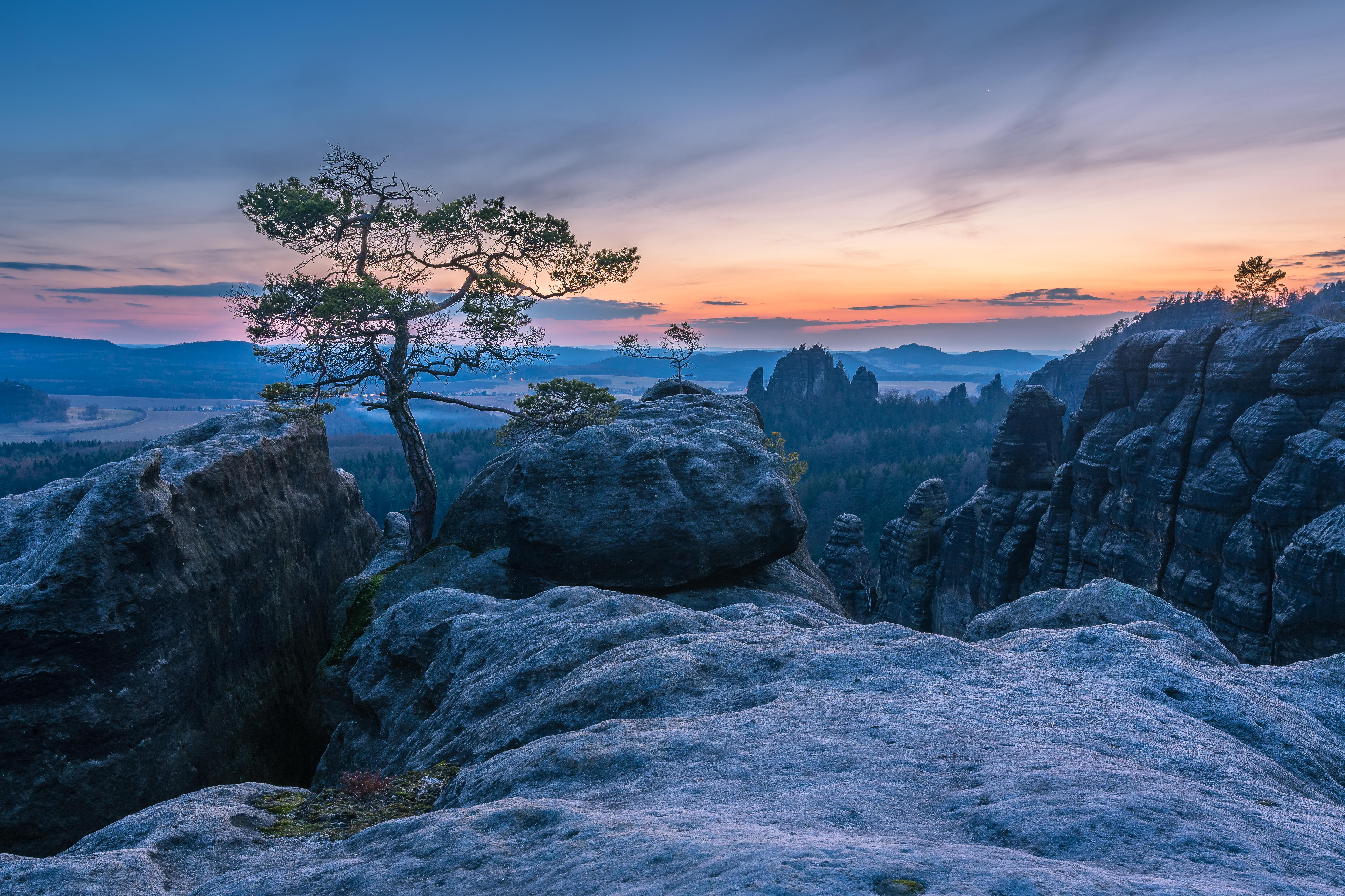 Wallpapers Lenfrith pine Saxon Switzerland sunset on the desktop