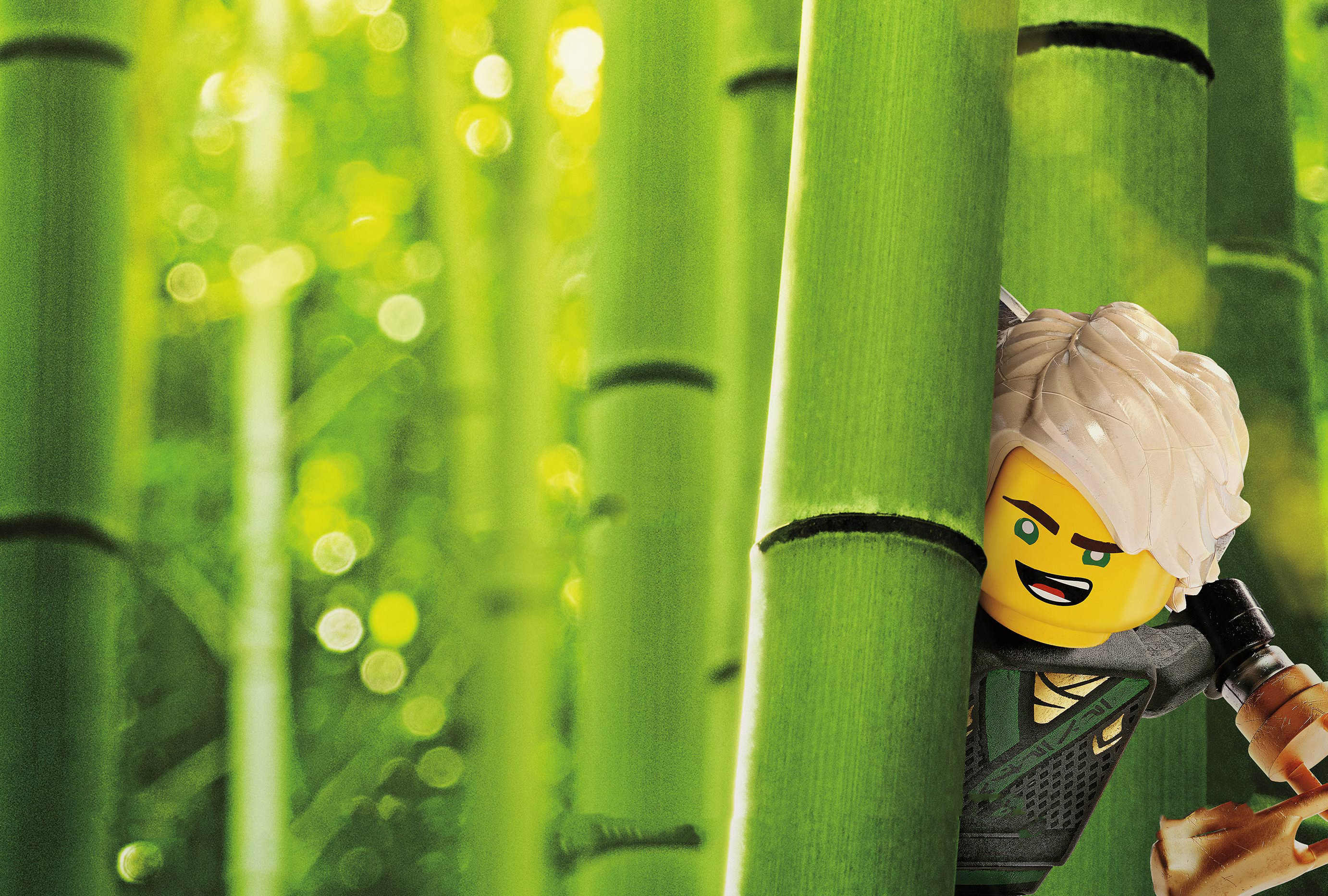 Wallpapers the lego ninjago movie miscellaneous 2017 Movies on the desktop