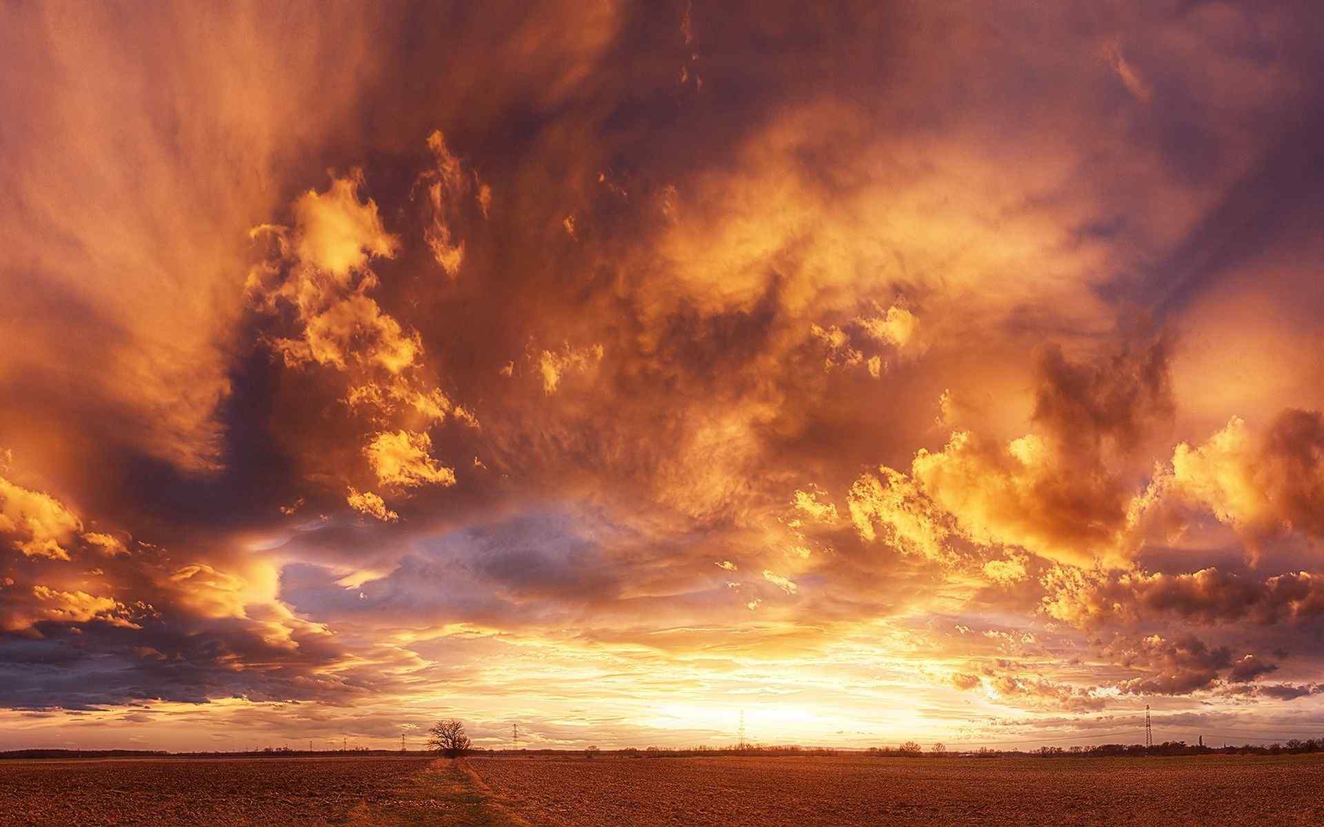 Wallpapers clouds orange sky field on the desktop