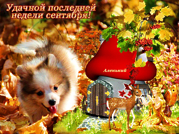 Открытка на тему собачка с последней неделей октября собаки скачать бесплатно