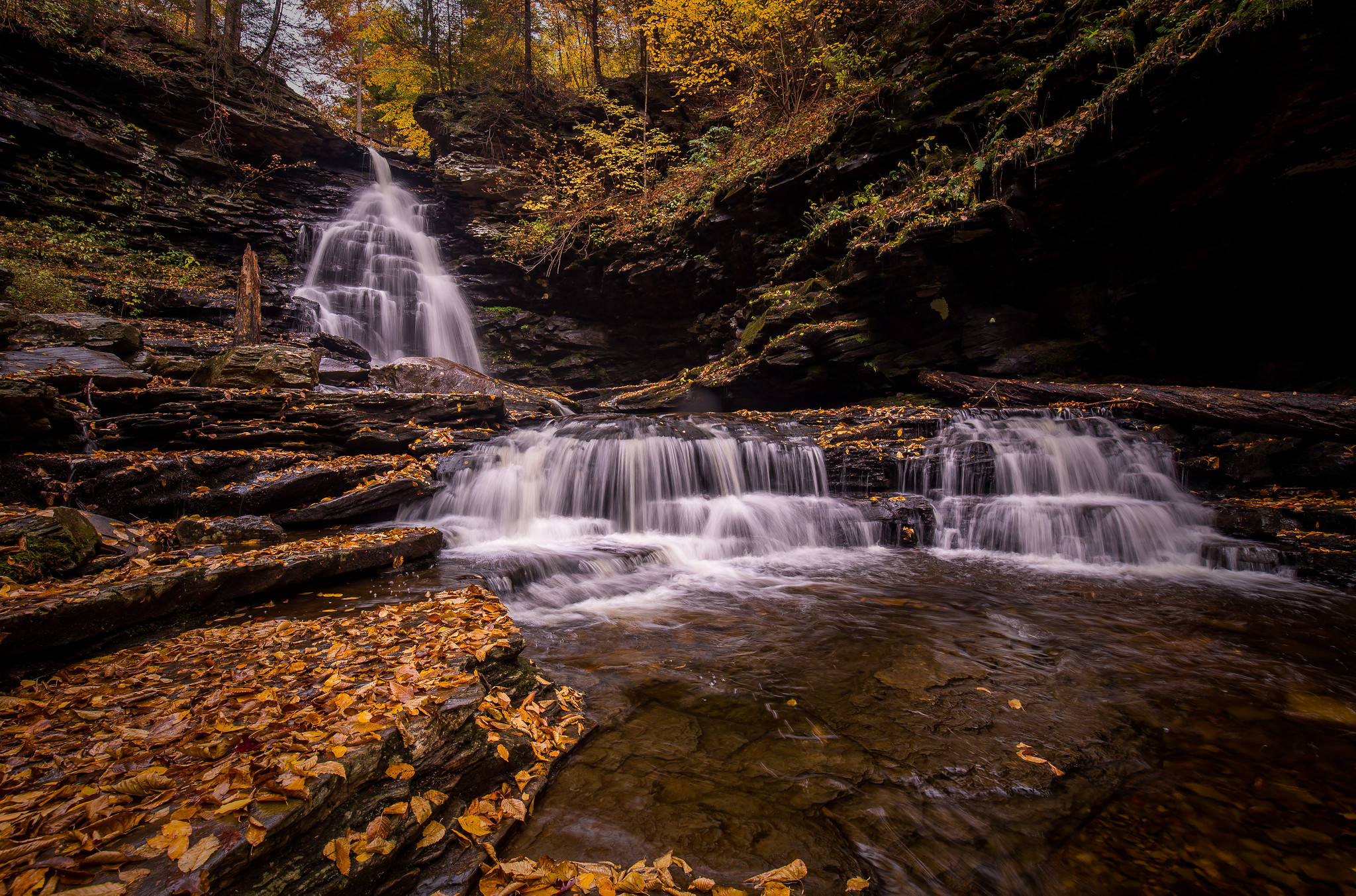 Wallpapers river autumn leaves nature on the desktop