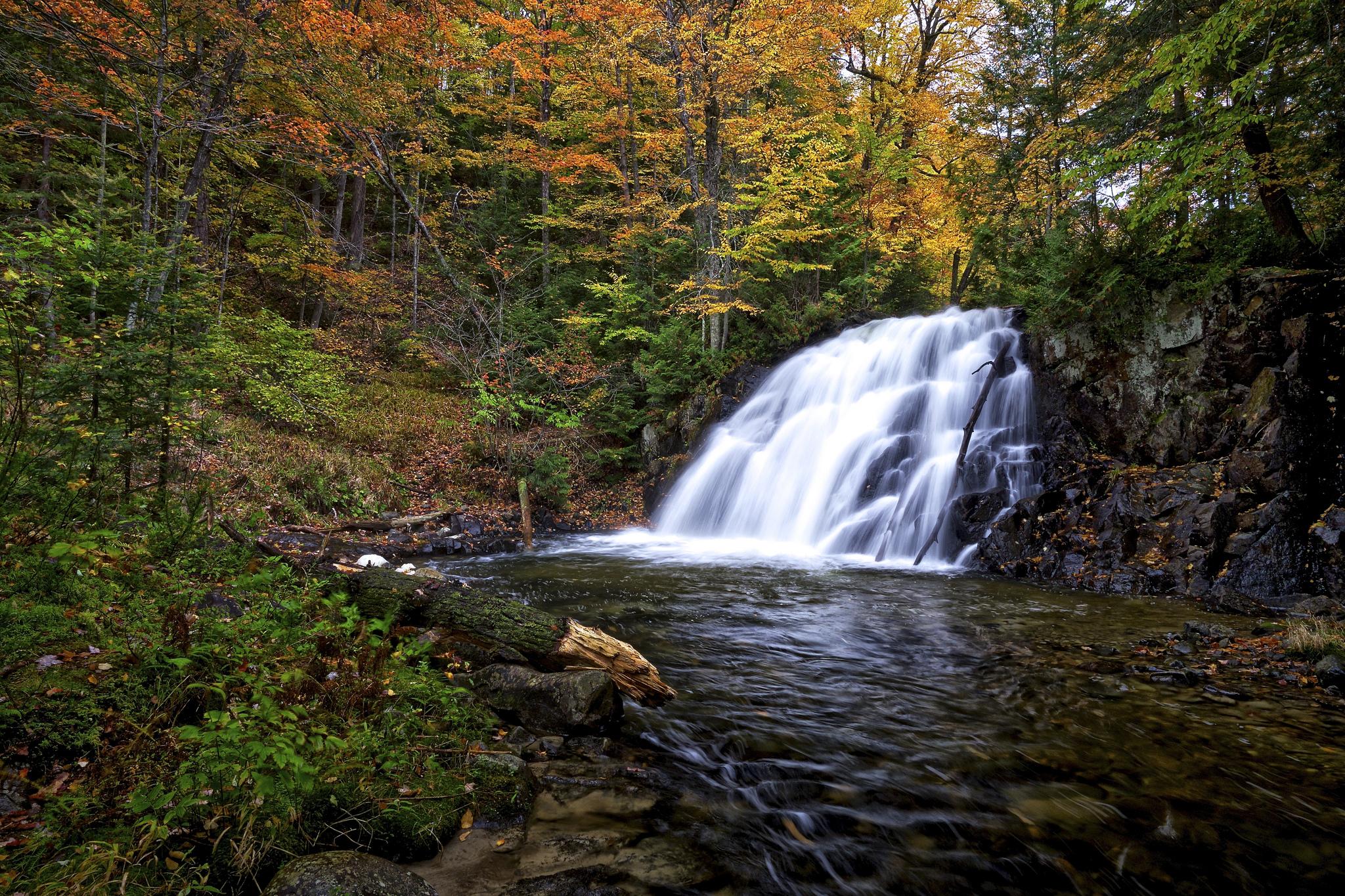 Wallpapers vankoughnet township robertson creek falls forest on the desktop