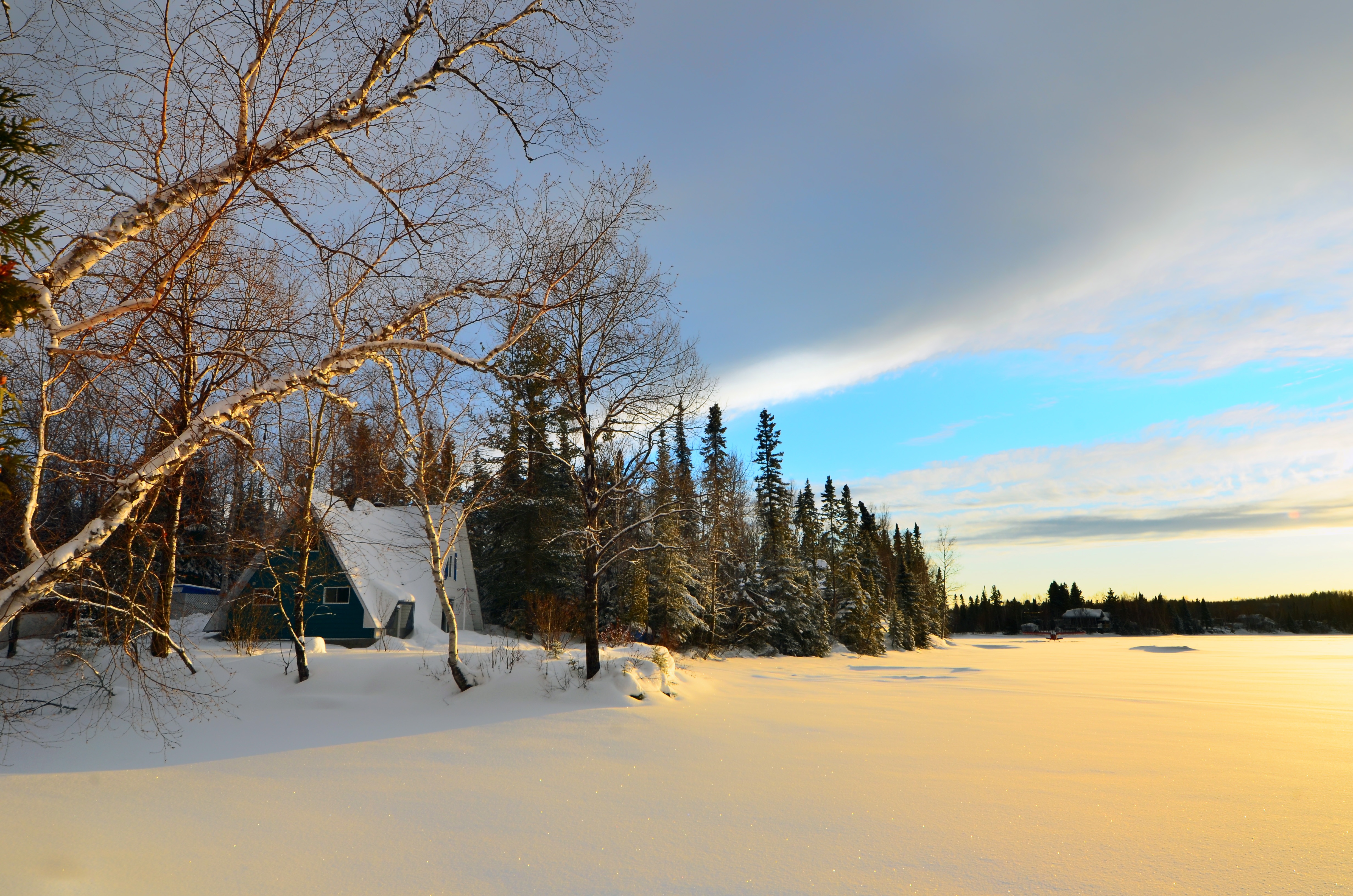 Wallpapers winter landscape trees birch on the desktop