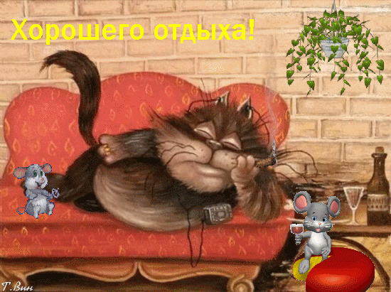 Открытка на тему отдых кот диван скачать бесплатно