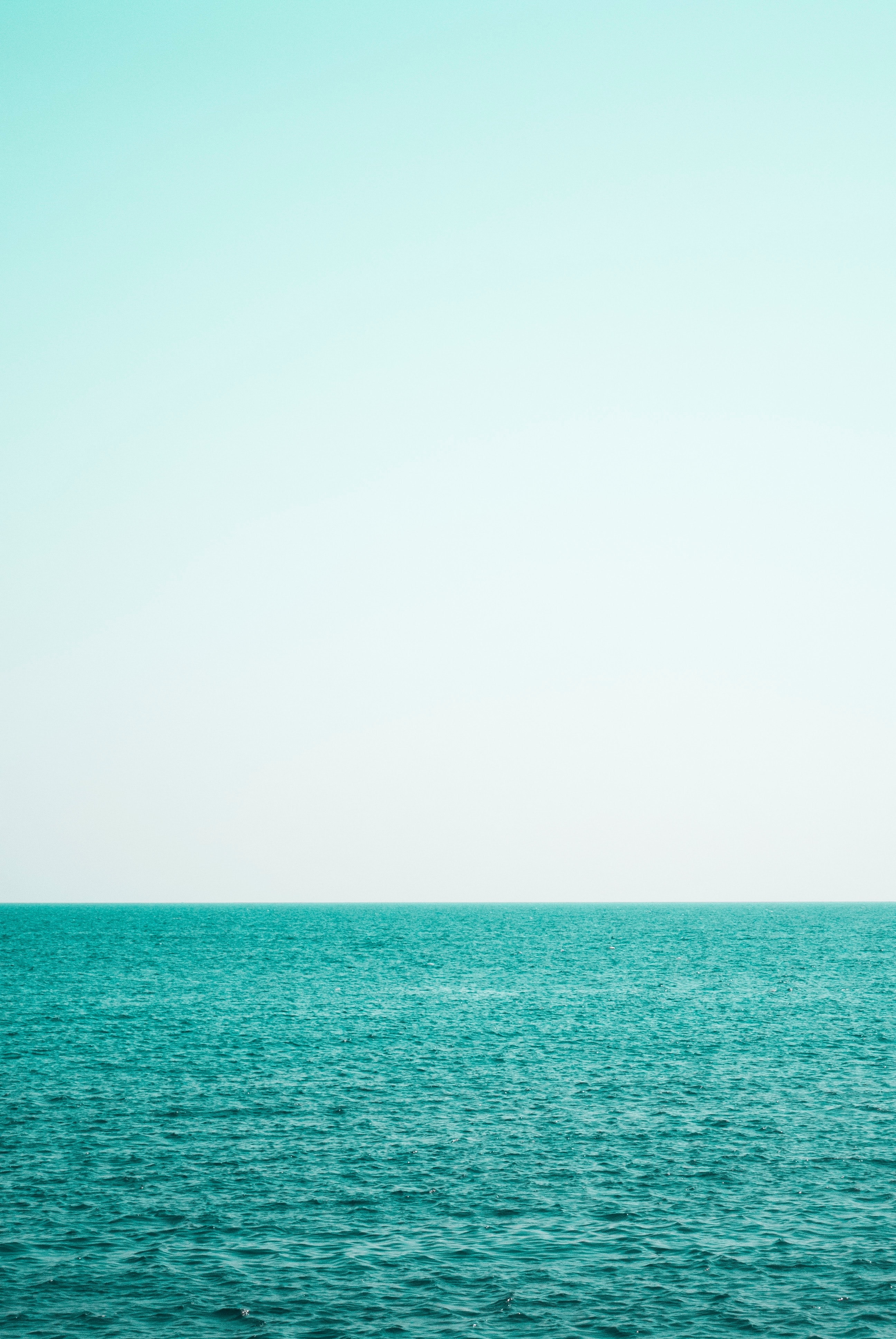 Free photo A simple seascape