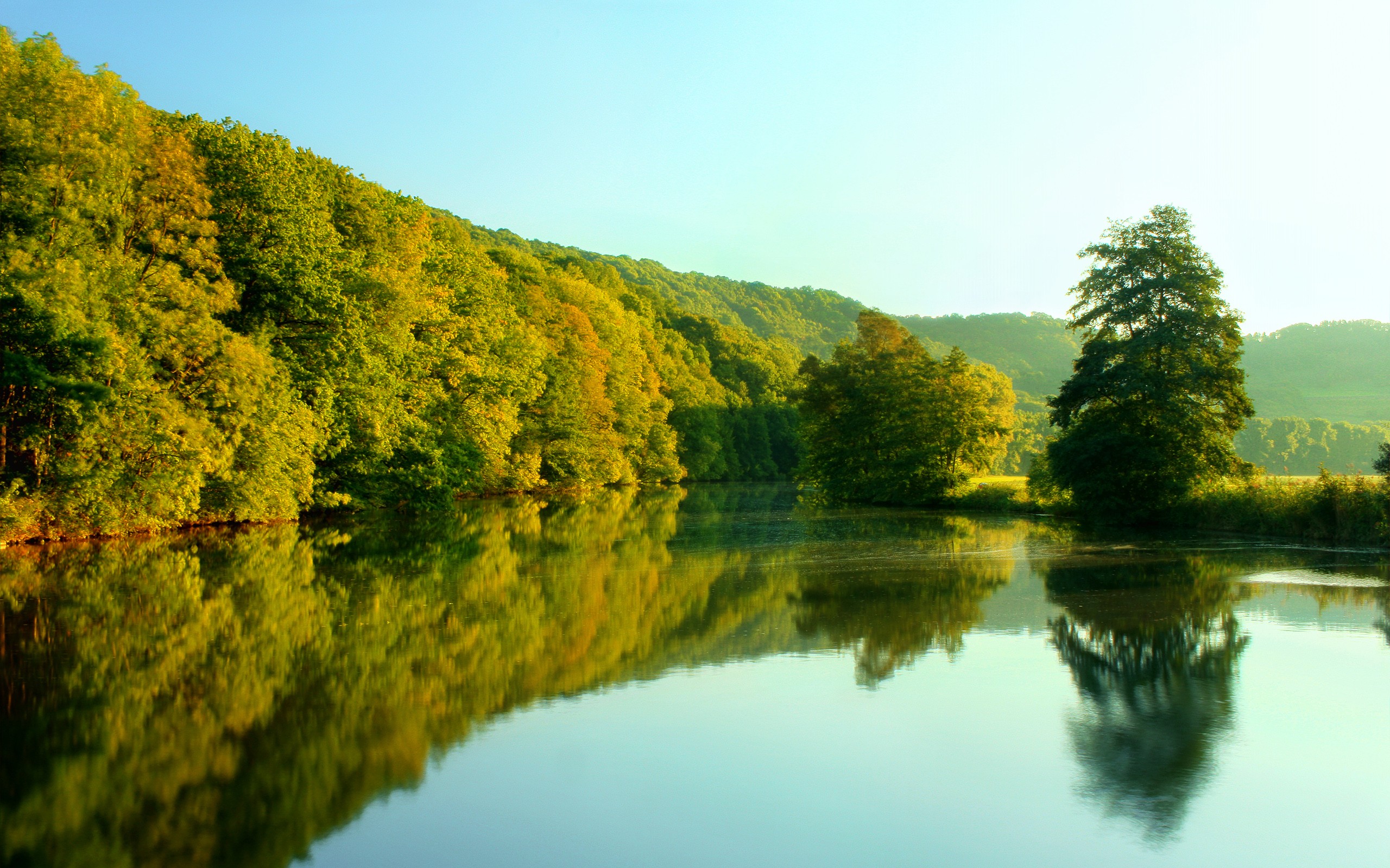 Free photo The river along the summer forest