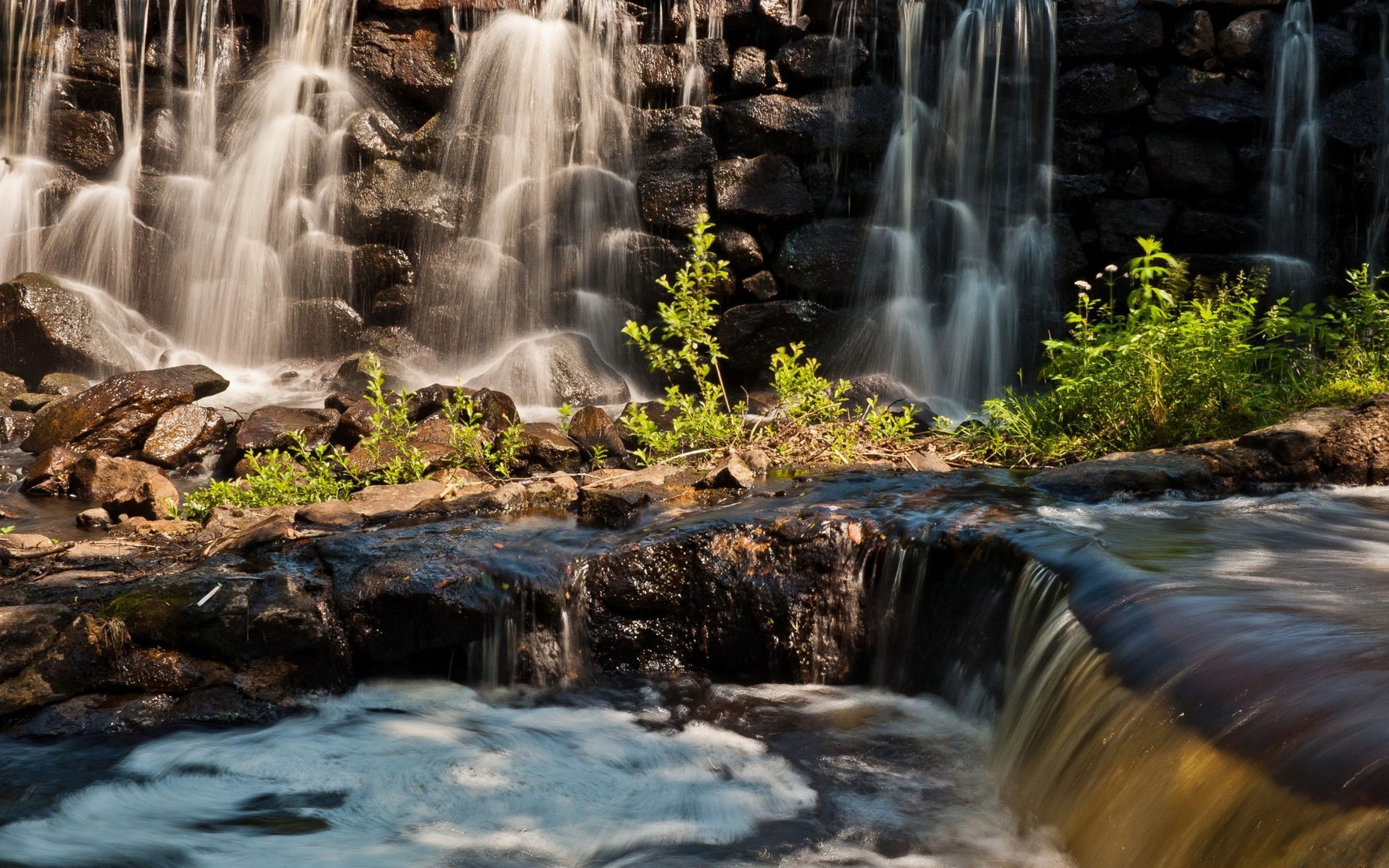 Free photo Beautiful place with waterfalls in the jungle