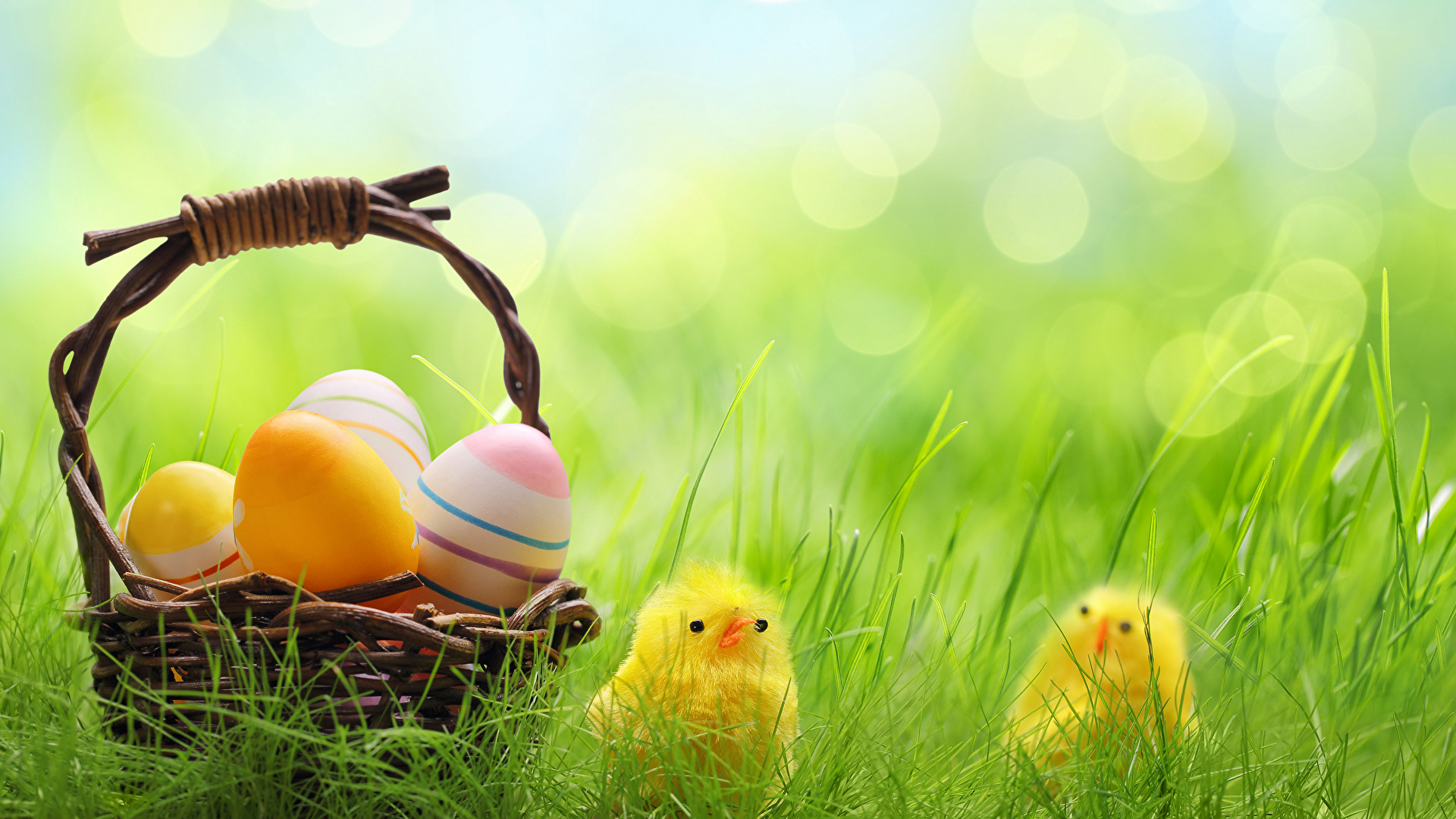 Wallpapers easter eggs egg basket chicks on the desktop