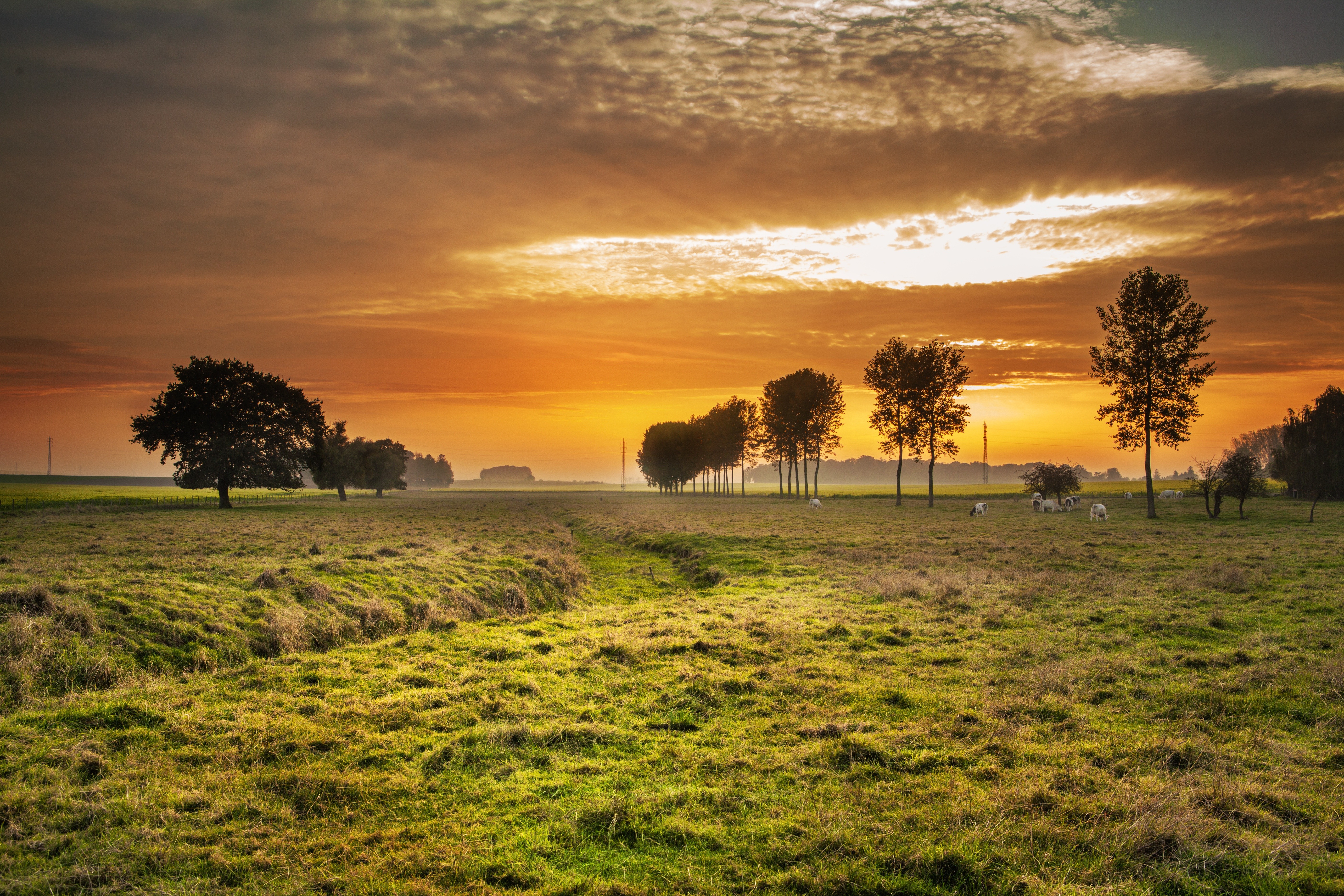 Free photo Evening in a foggy field