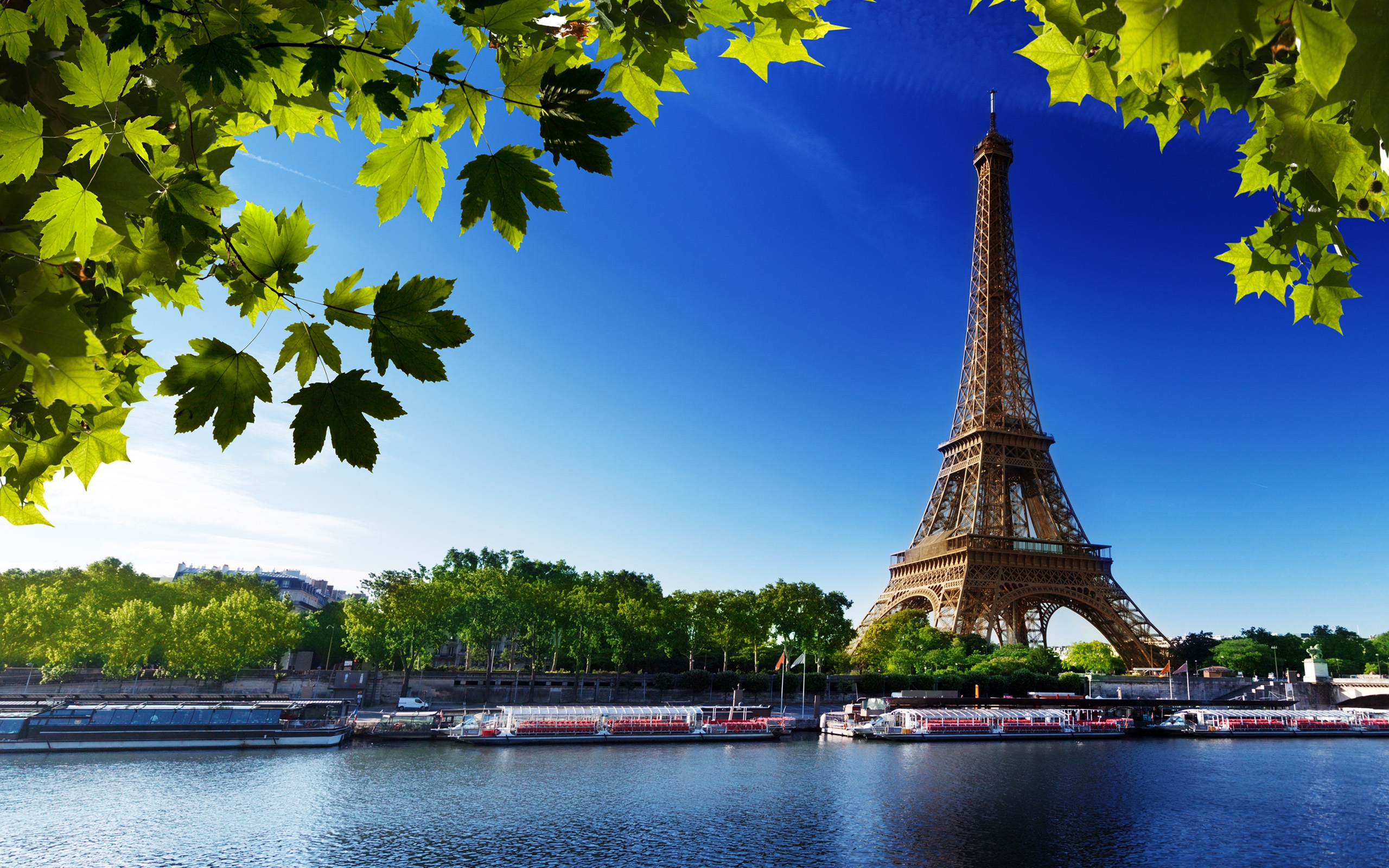 Eiffel Tower on a summer`s day