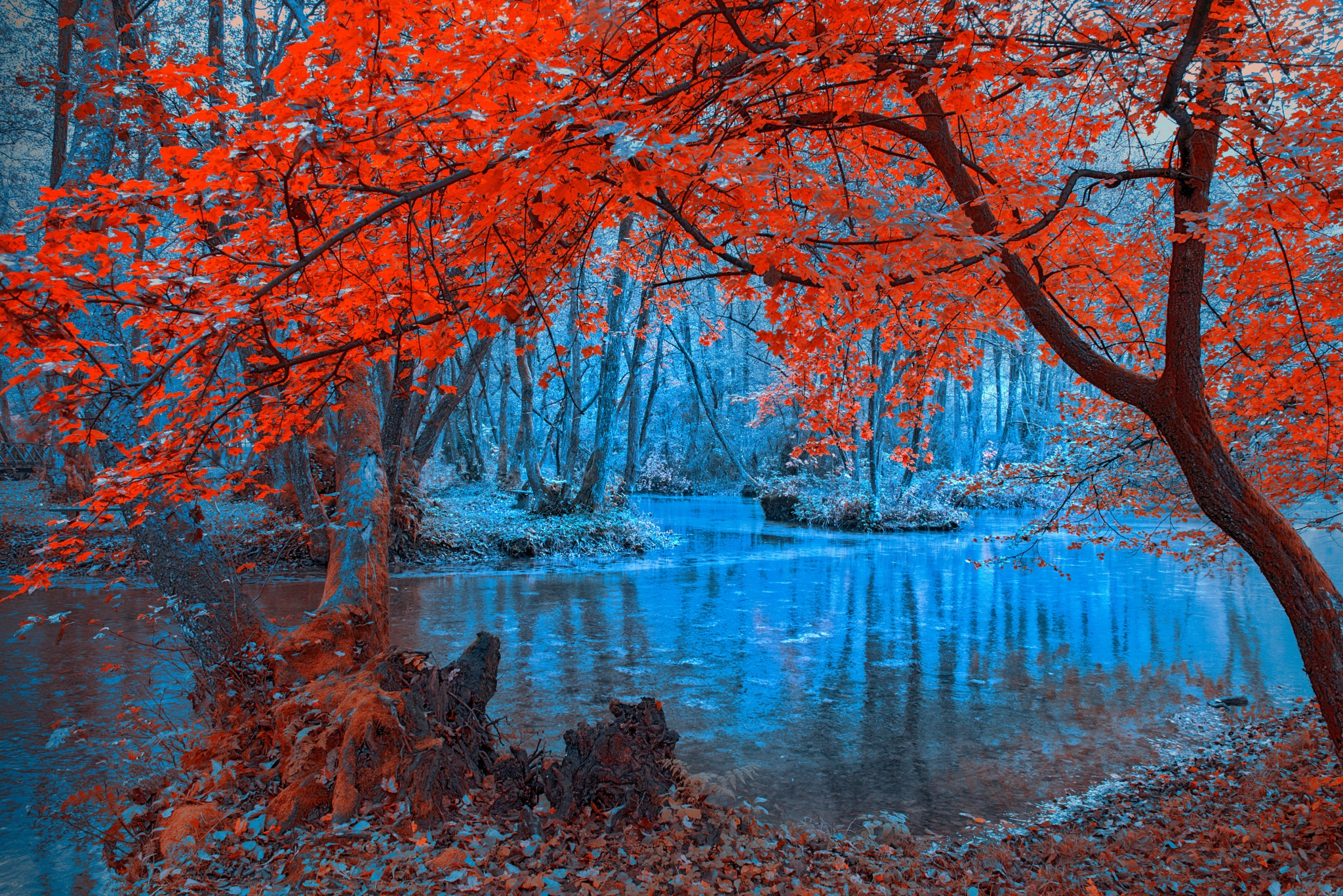 Wallpapers river autumn dawn on the desktop