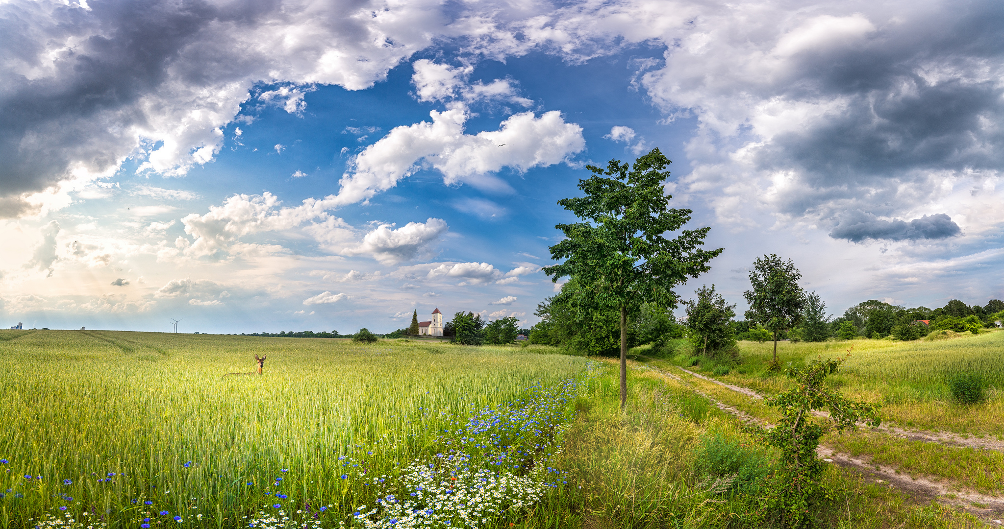 Wallpapers landscape Canada road on the desktop