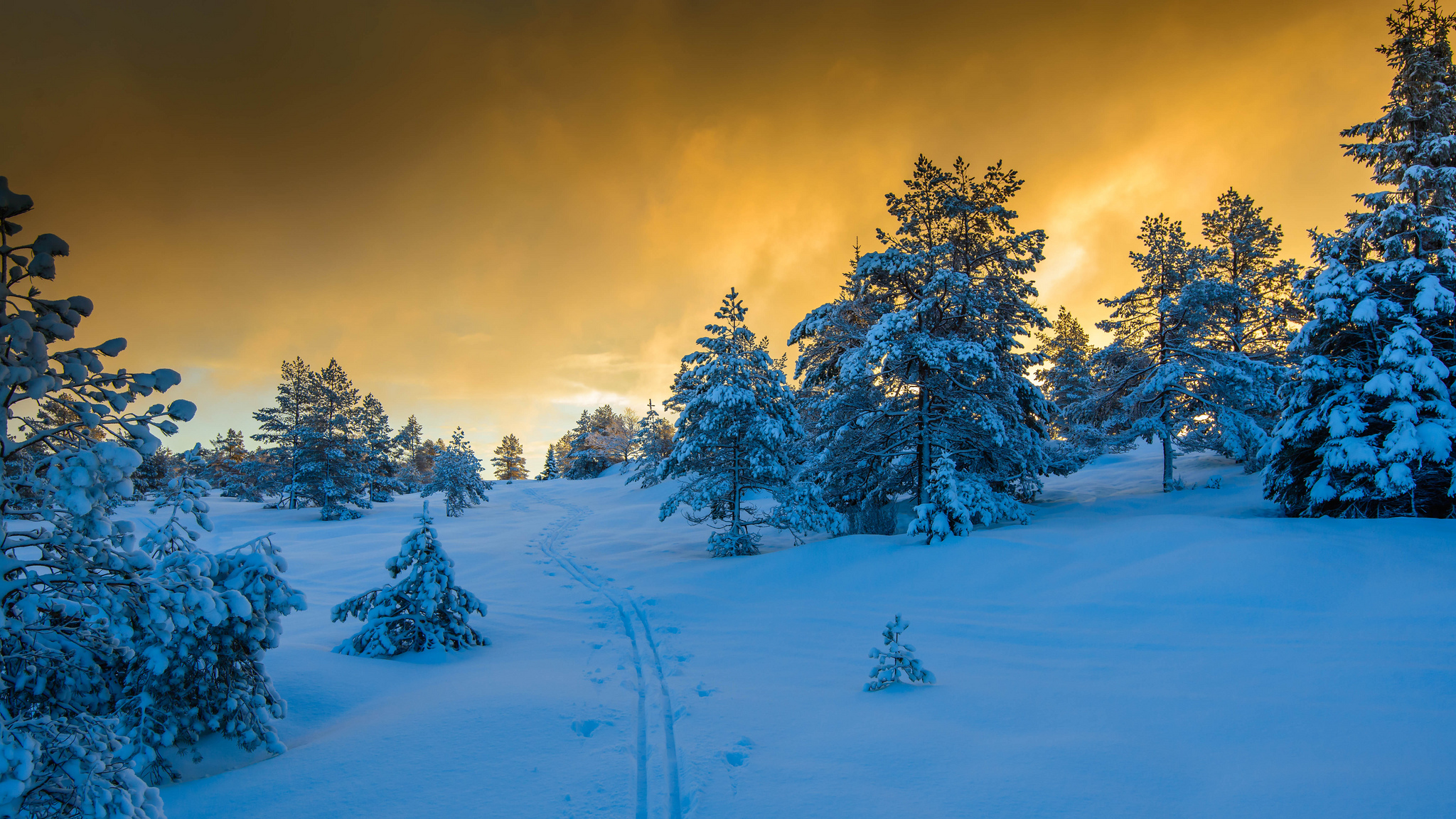 Free photo The sunset in Norway