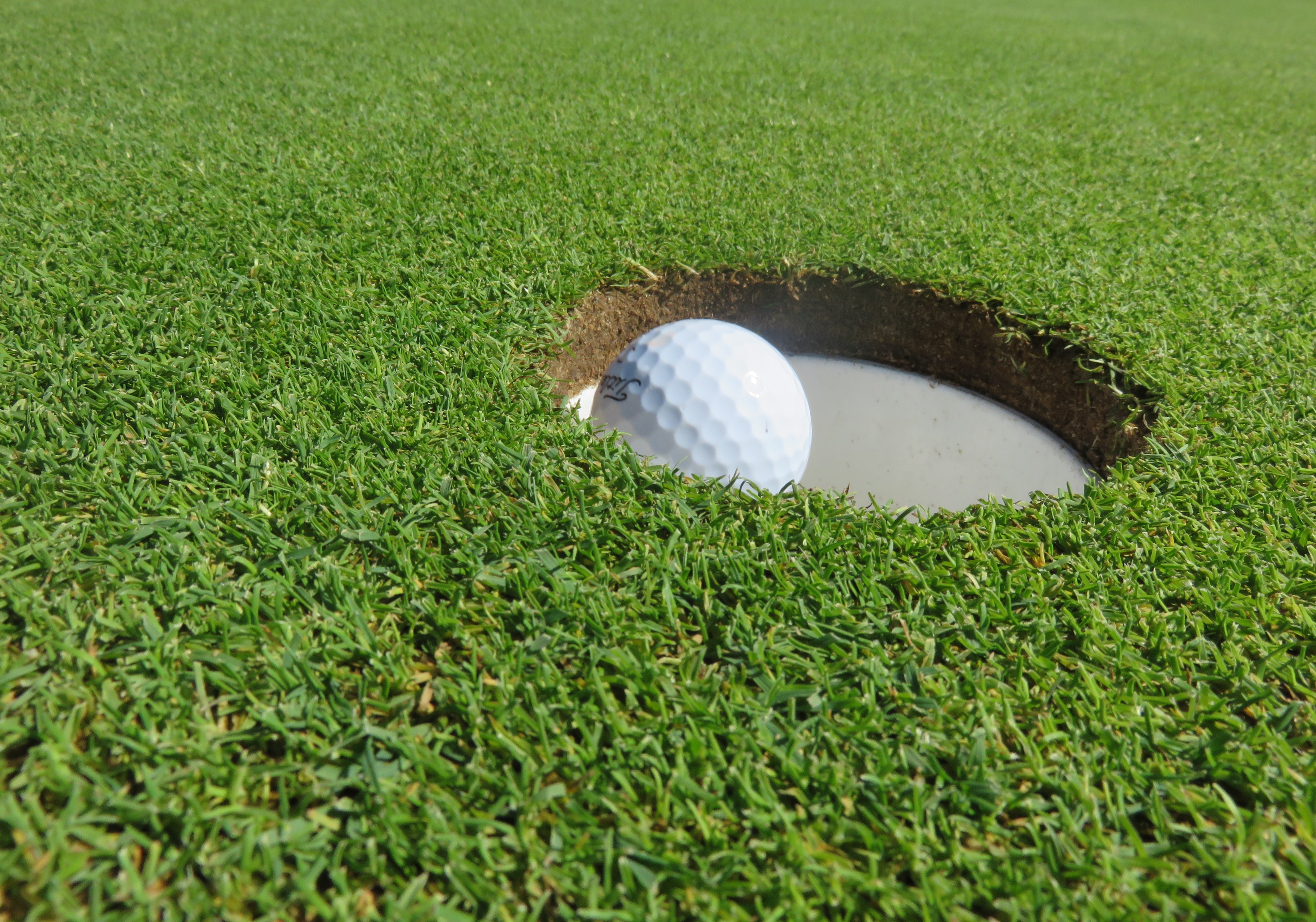 高尔夫球落入洞中